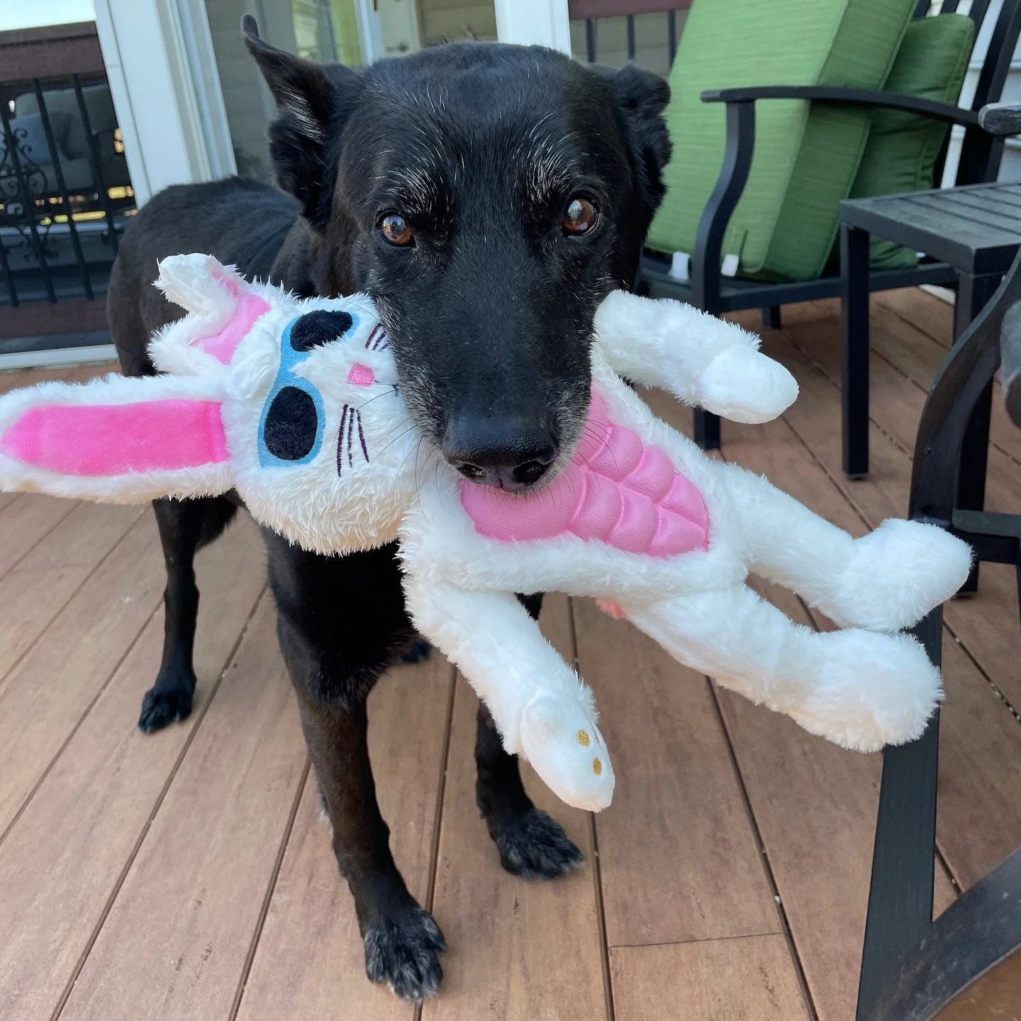 Easter throwback 🐰