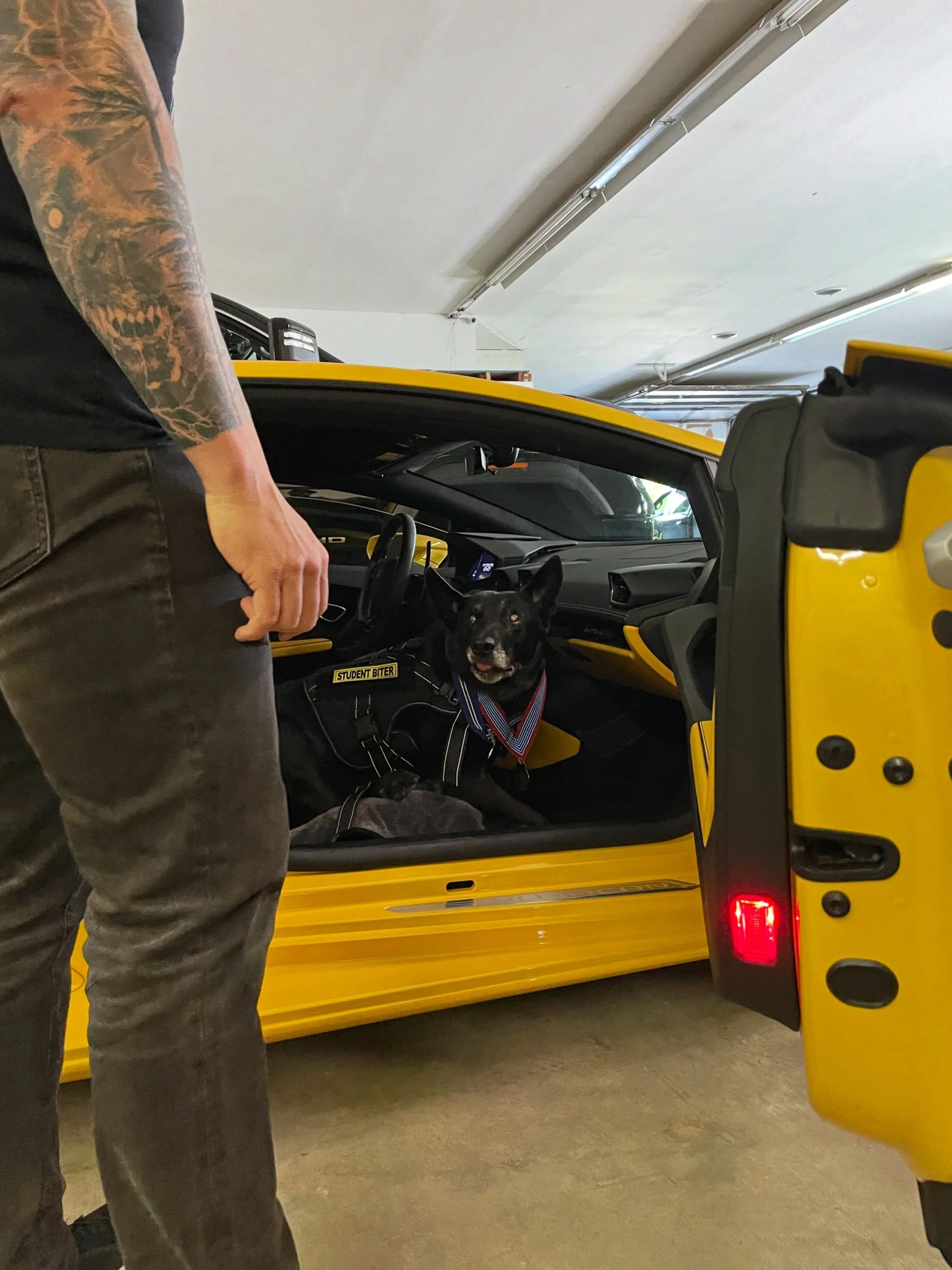 Retirement looks good on a working dog: Riding shotgun in @streetspeed717&rsquo;s Lambo. 😎