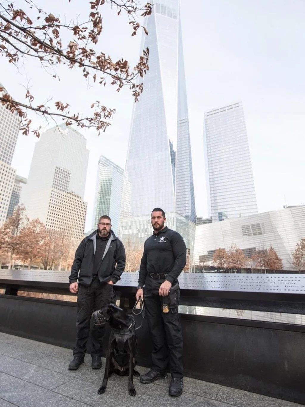 More than 300 working dogs served tirelessly in the wake of the September 11 attacks. We will never forget their sacrifice, loyalty, and bravery. 🇺🇸

#911Memorial #K9SearchAndRescue #FirstResponders #HeroDogs #NeverForget