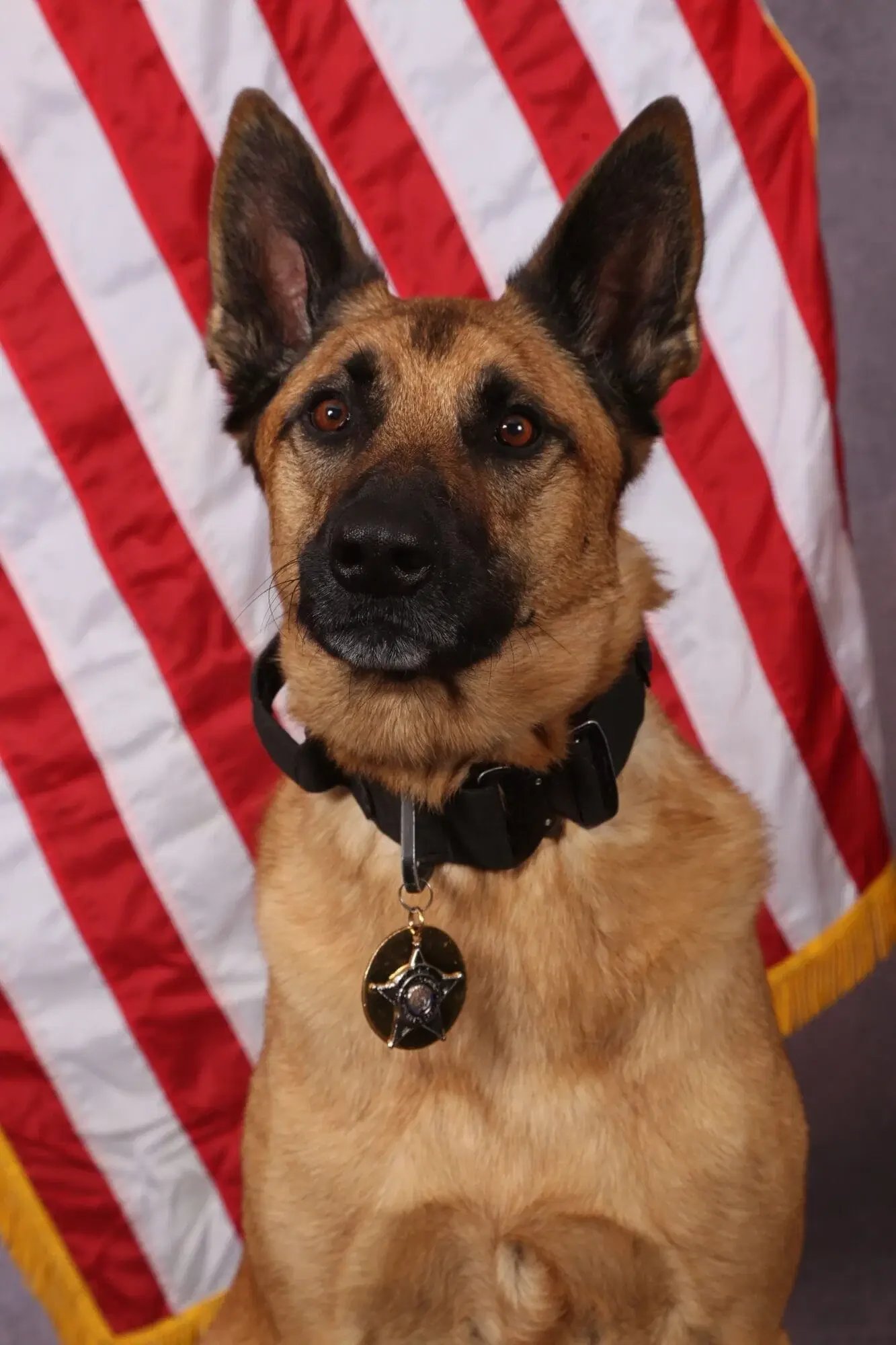 Max L - Atlantic County Sheriff’s Office
