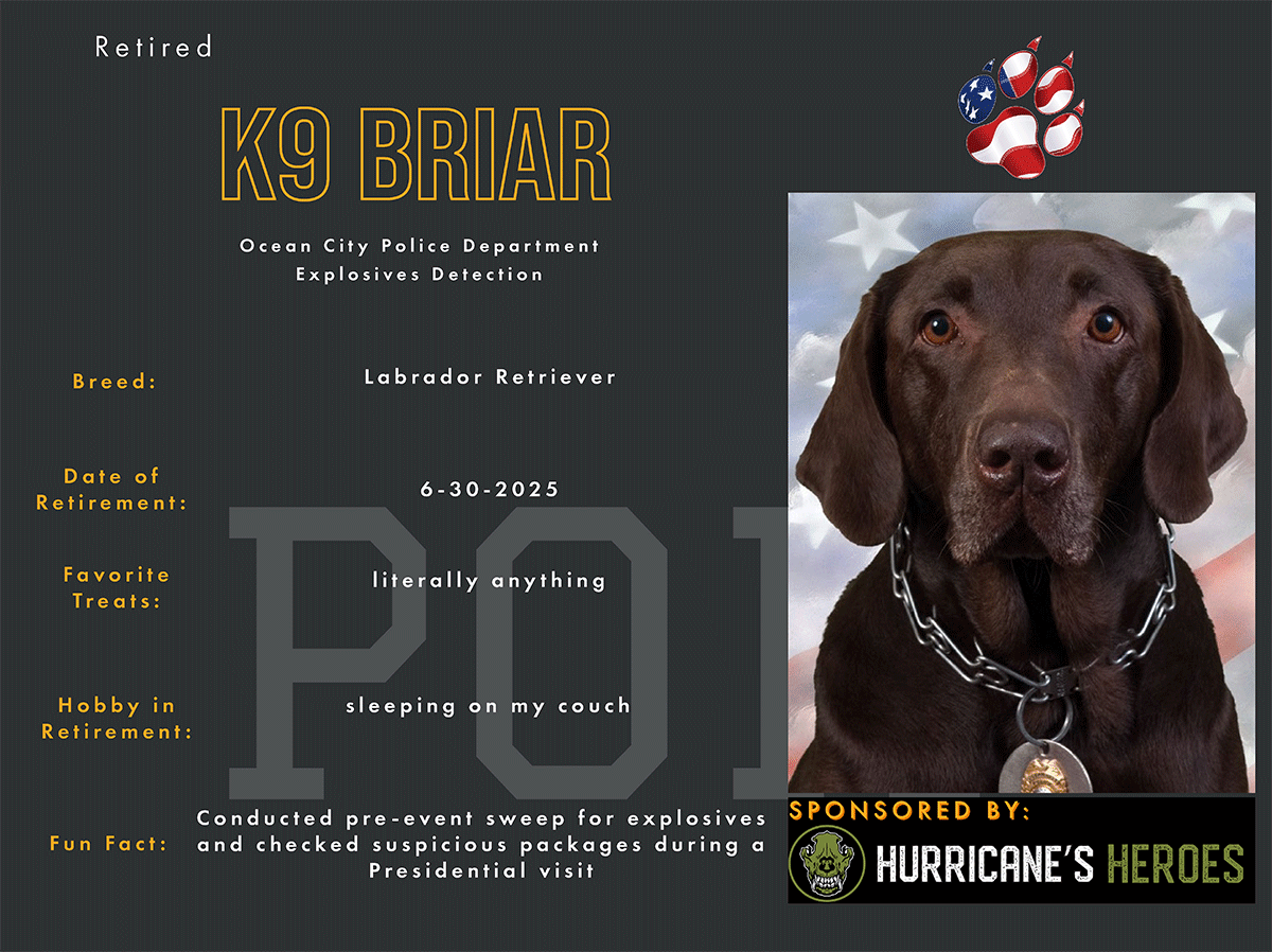 K9 Briar - Ocean City NJ PD