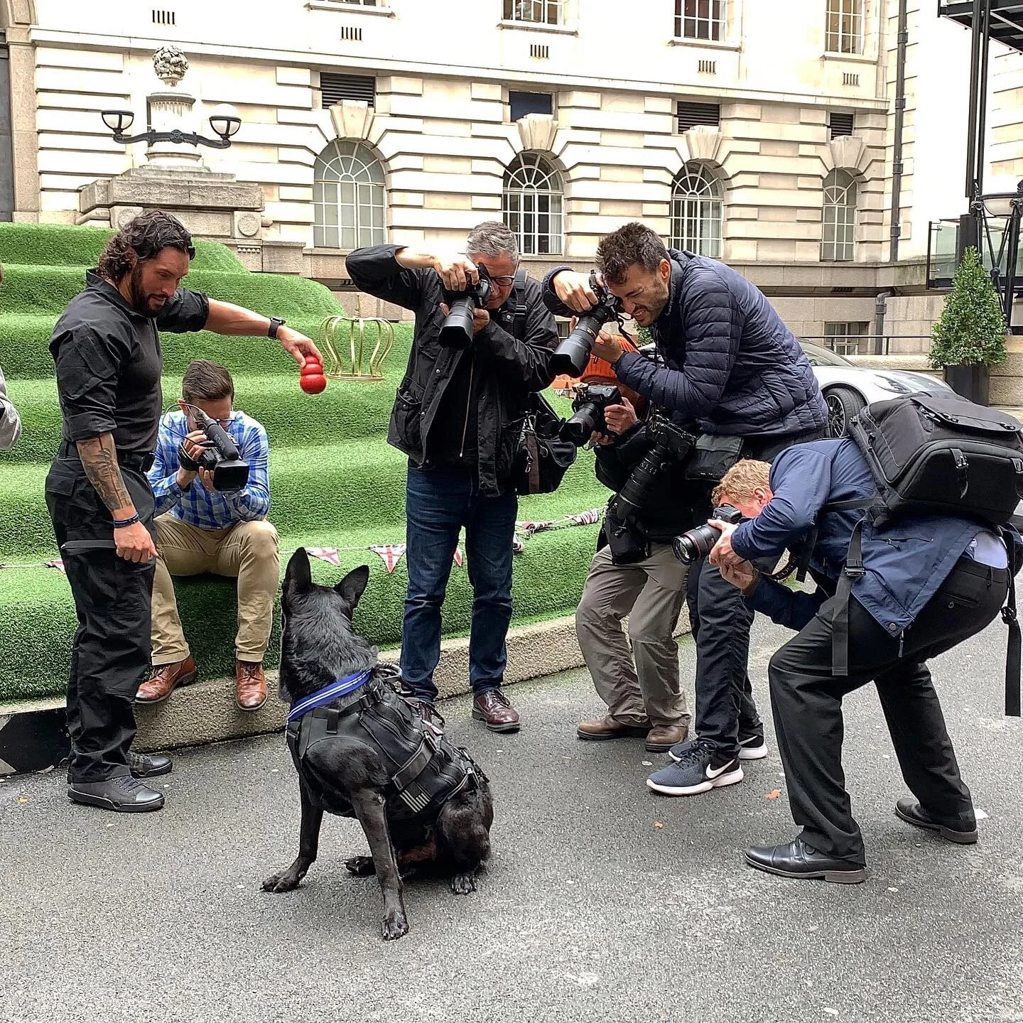 Hurricane in London to accept the PDSA Order of Merit