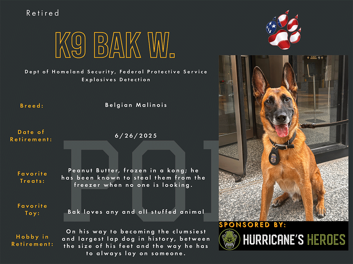 K9 Bak W. | Dept. of Homeland Security