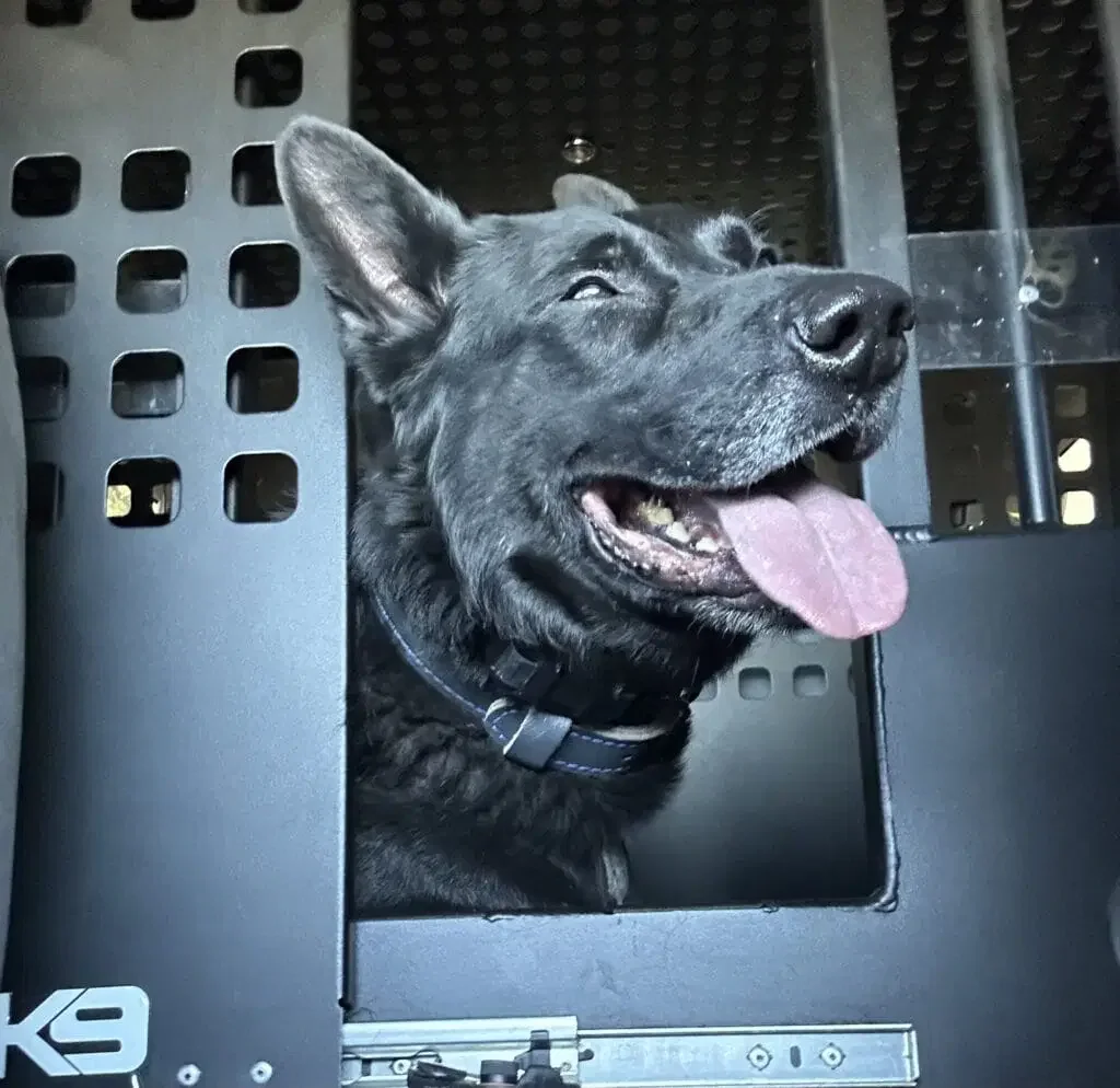 K9 Kylo - Colorado Springs PD