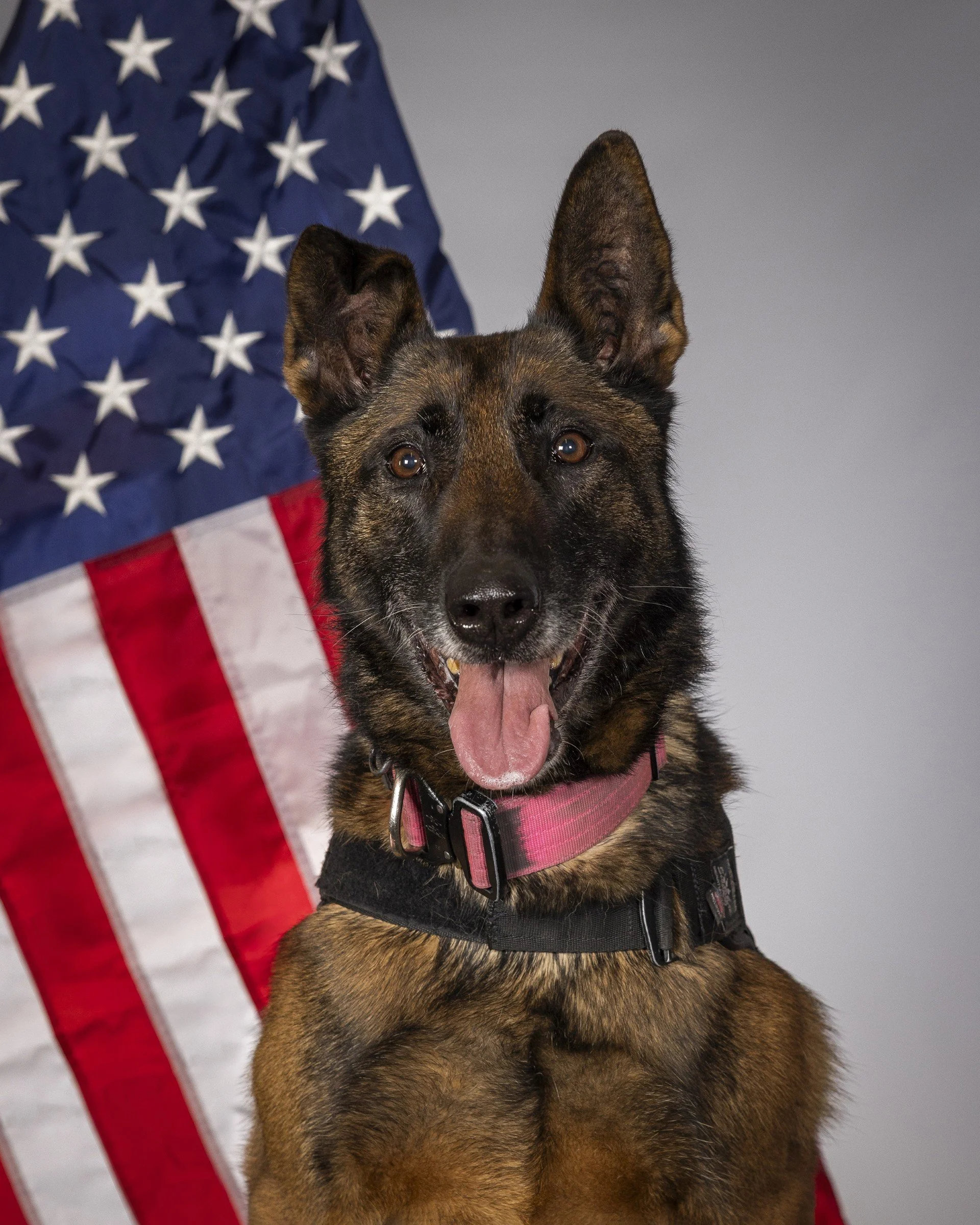 MWD Olga - US Navy