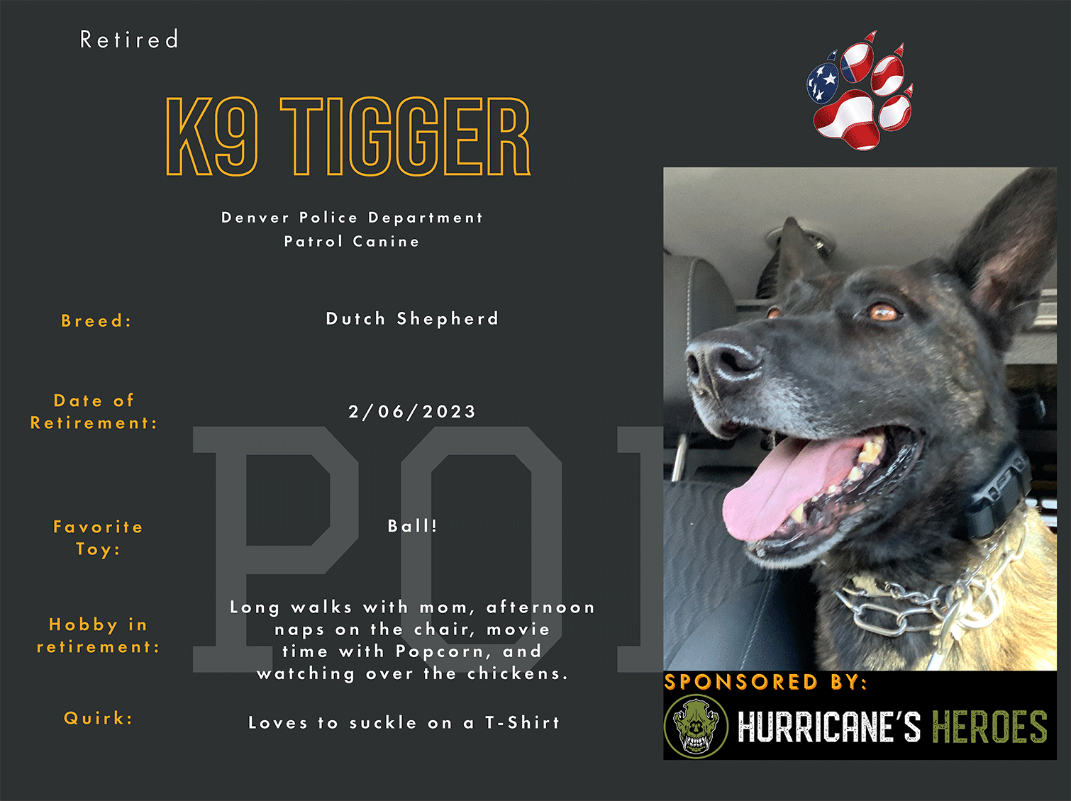 K9 Tigger - Denver PD