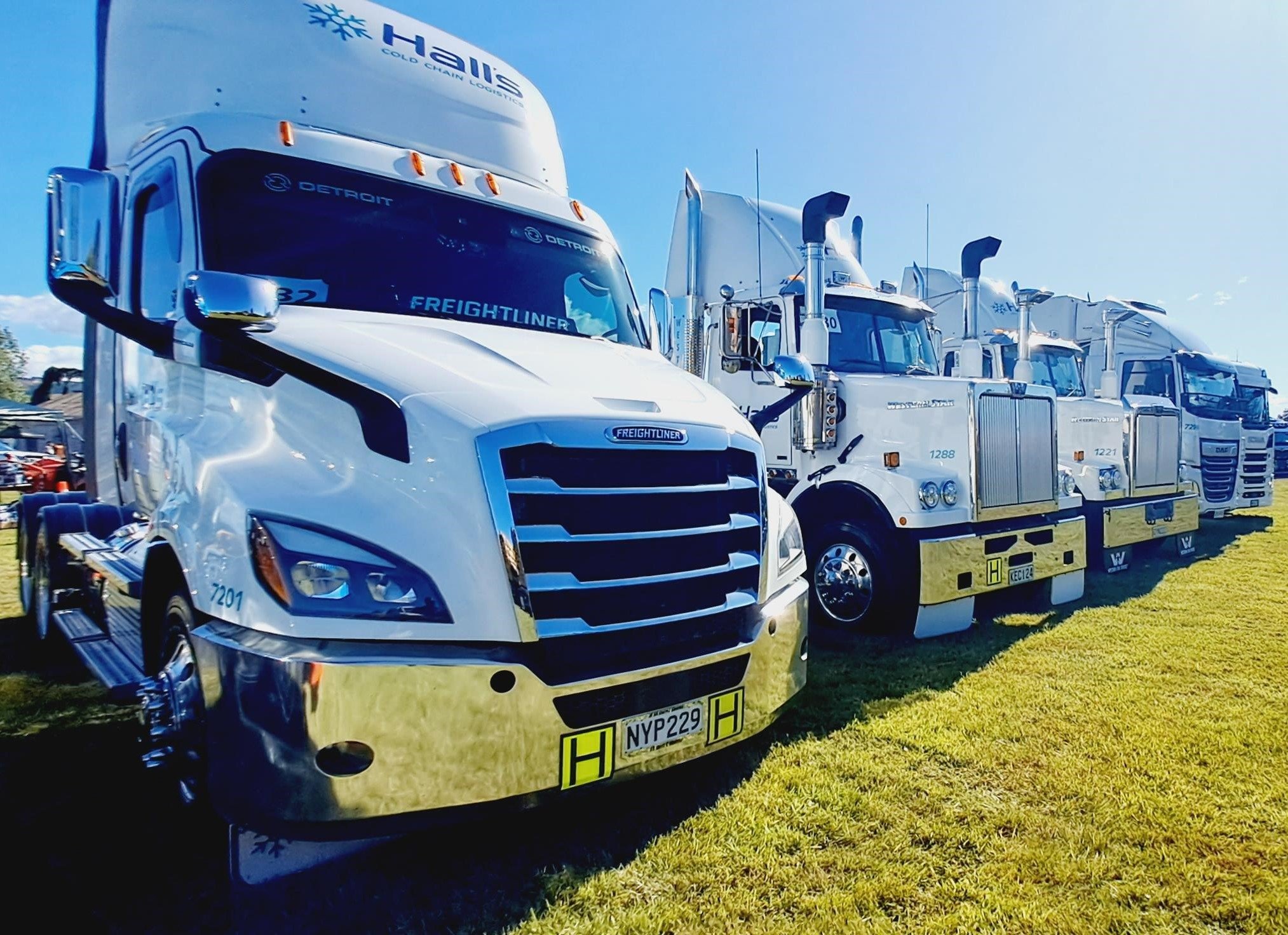 DUNEDIN TRUCK SHOW