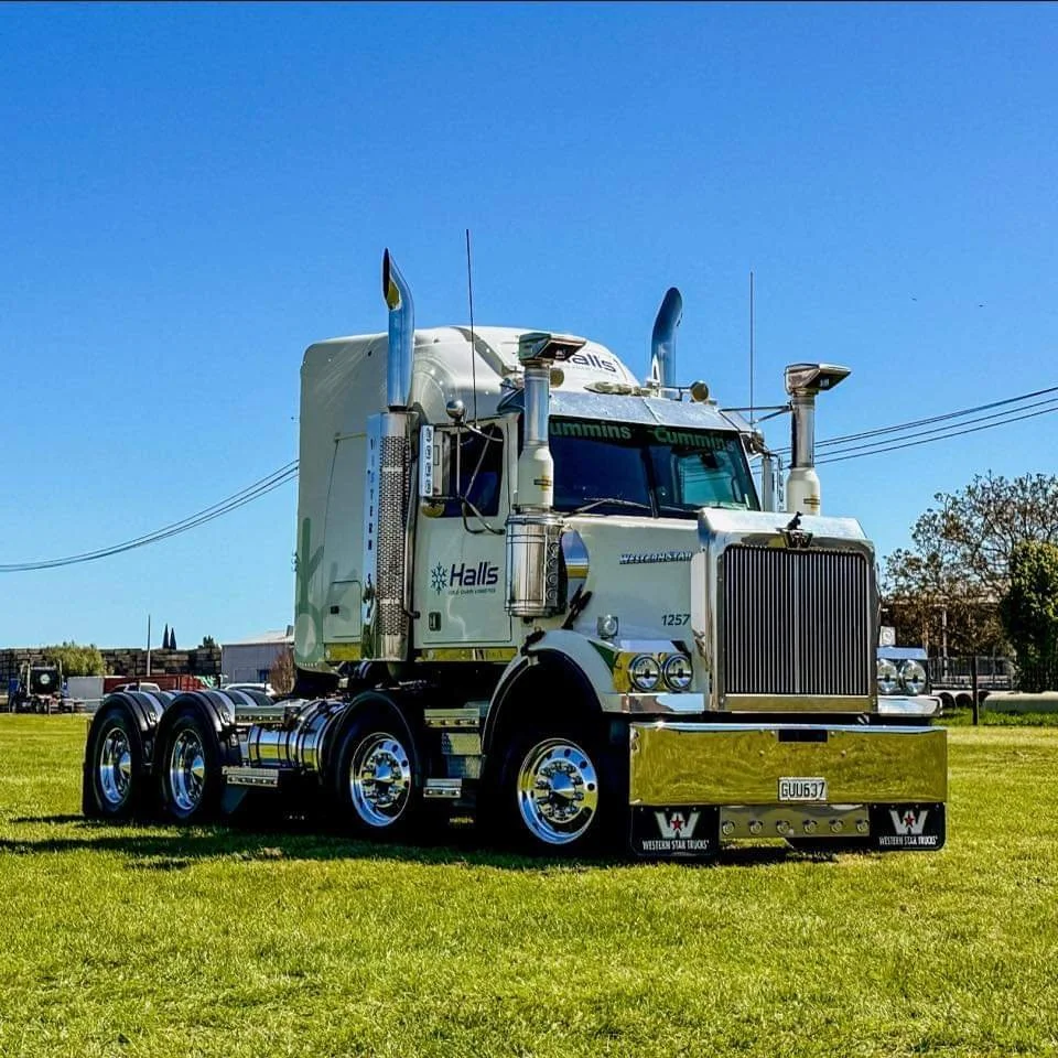 SHINY WESTERN STAR