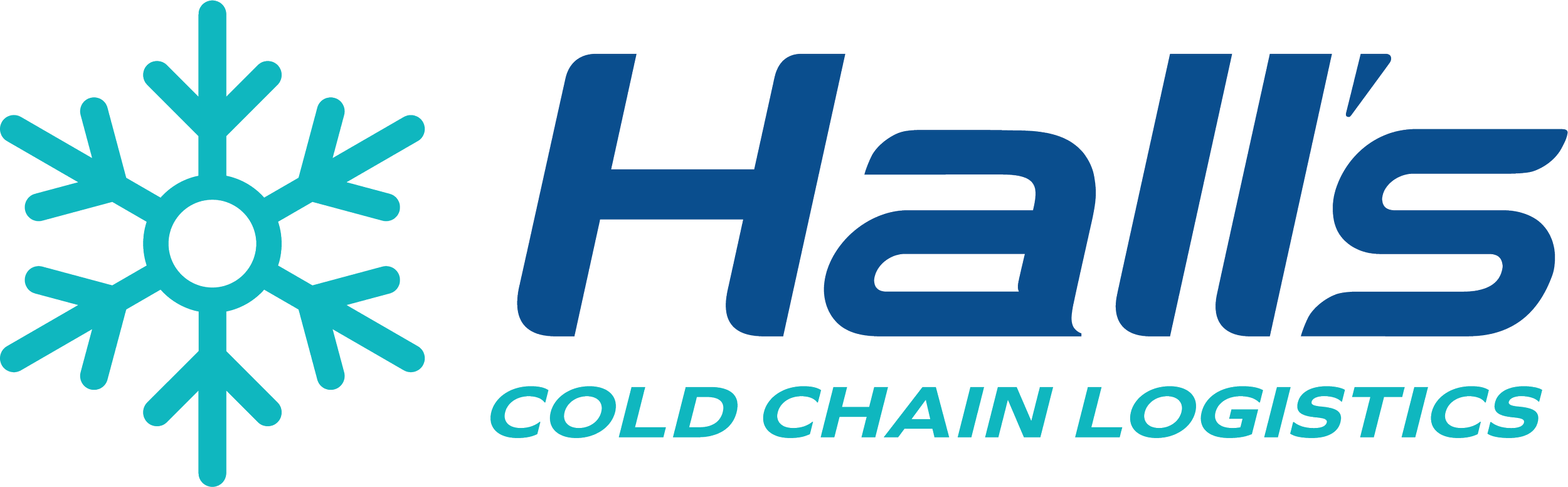 Hall&#39;s Group Ltd