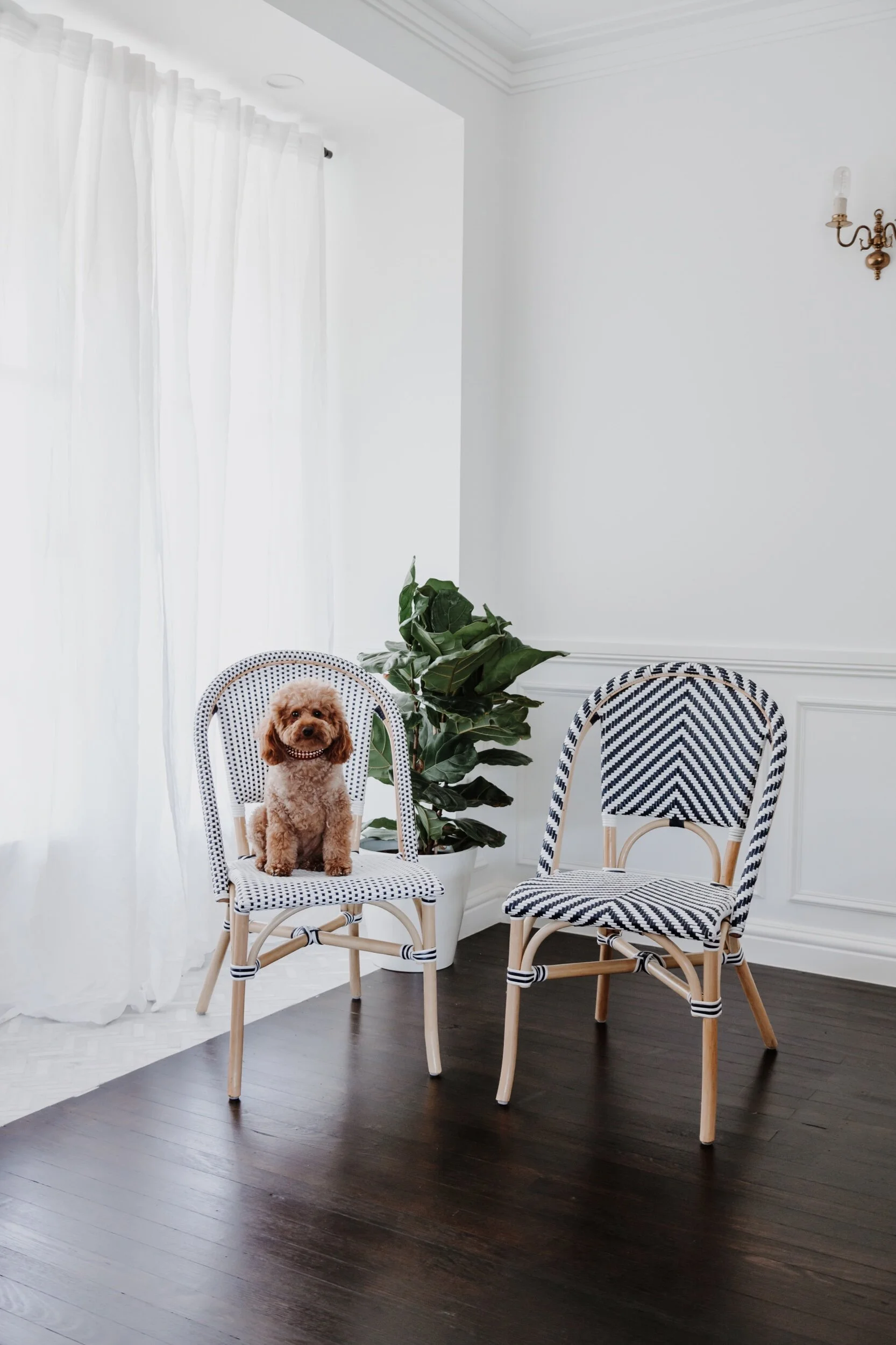 A6C99F53-B99B-4F46-9713-390018ADF42B