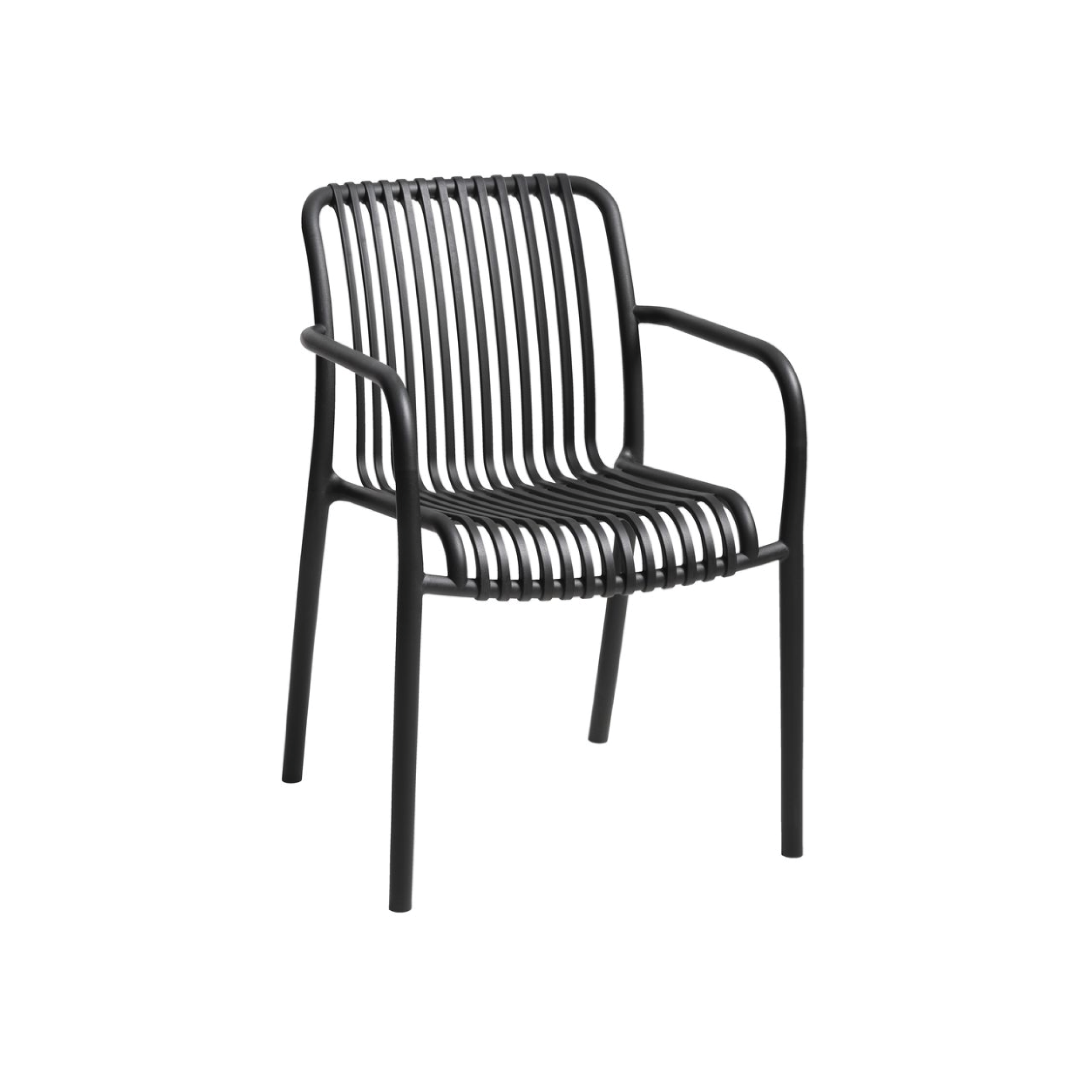 Black Palmas Dining Chair