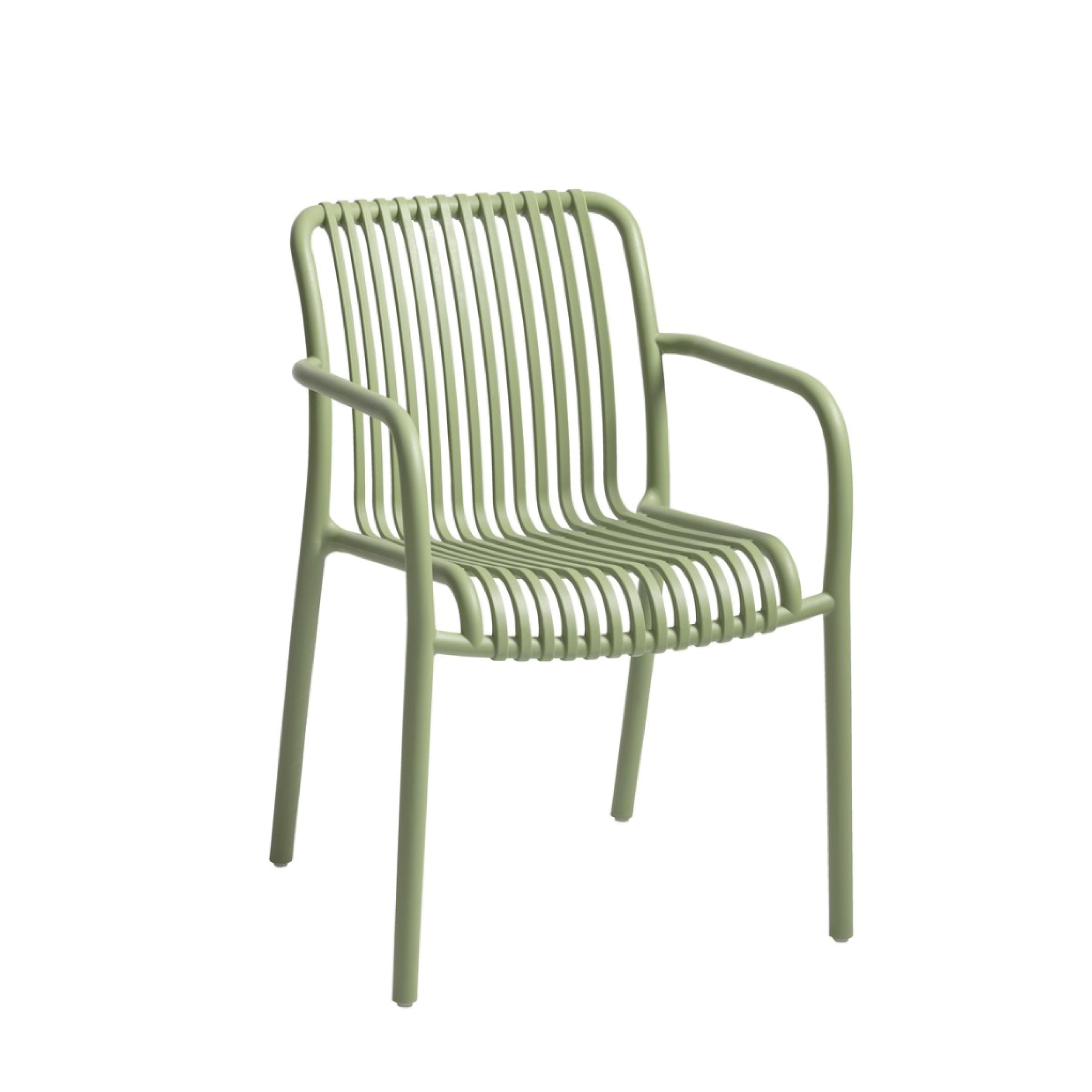 Olive Palmas Dining Chair