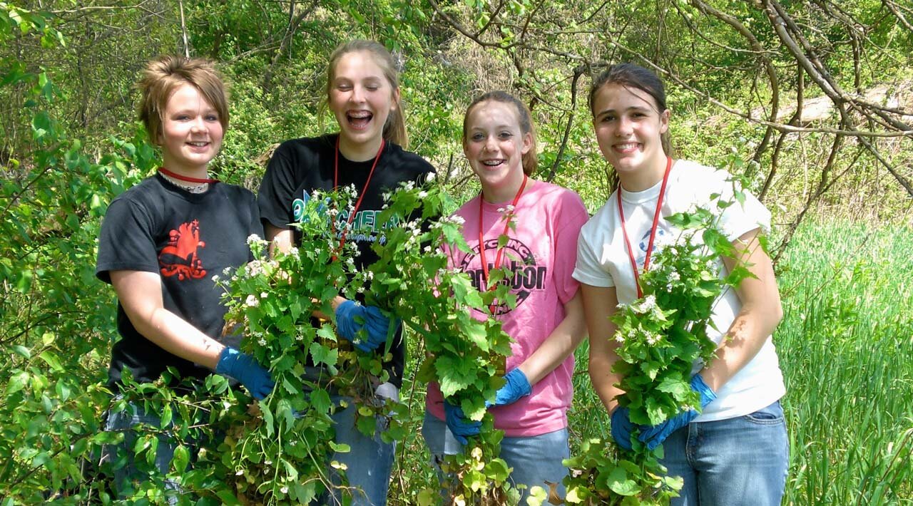 Garlic Mustard has got to go