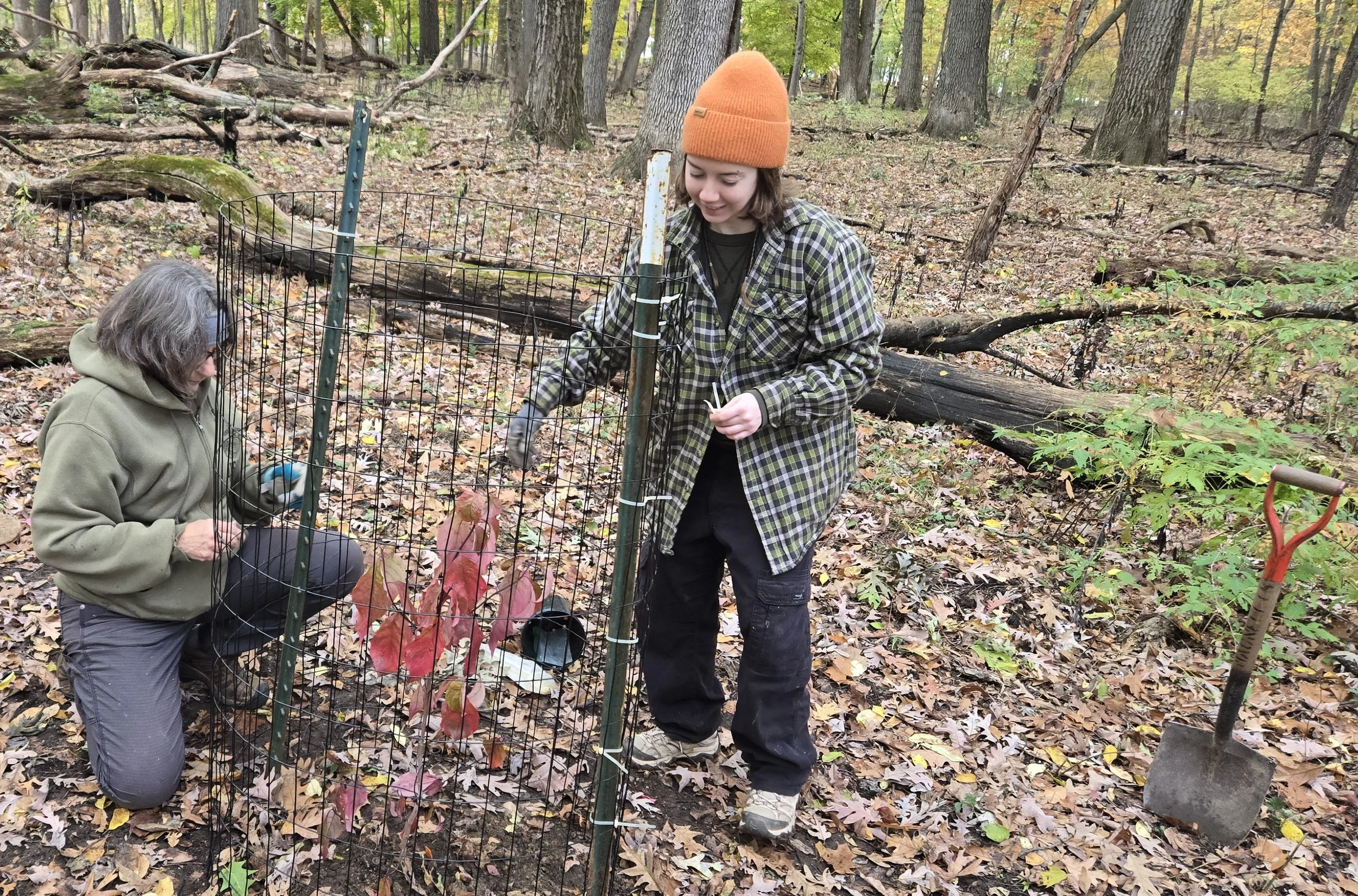 Judy,Sammy11_2_25TreePlantALP.jpg