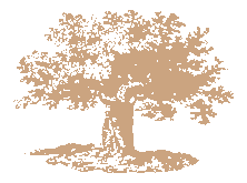 Neighborhood Association of Parkview Hills