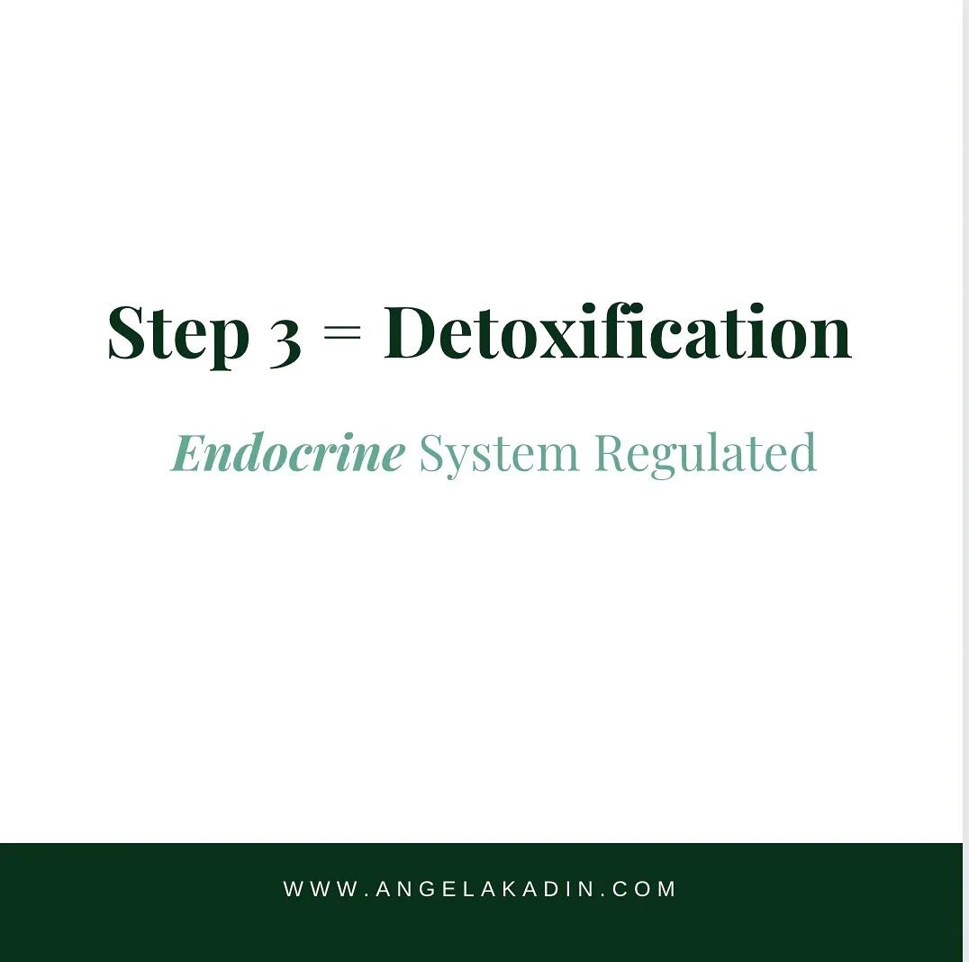 In addition to my formal education as a clinical practitioner, I&rsquo;m a Detox Specialist&trade; with international and accredited recognition in the field of toxicology and detoxification. 

I chose to specialize in cleansing, drainage and detoxif