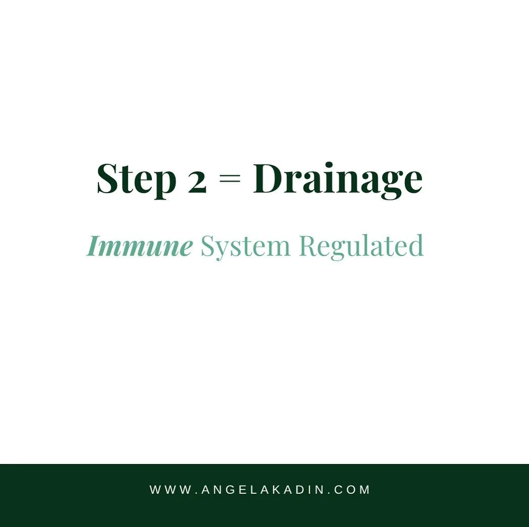 Drainage targets the tissue between the tissues, everything between the cells, the Extracellular Matrix (ECM). 

Drainage is Immune System Regulated so we need good immune health to successfully carry this out. 

Drainage is essentially "opening