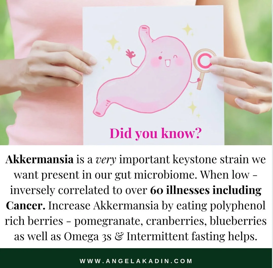Firstly - take note, in a Functional Stool Analysis 💩that I offer to my clients, I can see whether a client has Akkermansia present or not.

In the gut microbiome, we want as many healthy microbes as possible. This is called Alpha Diversity. The hig