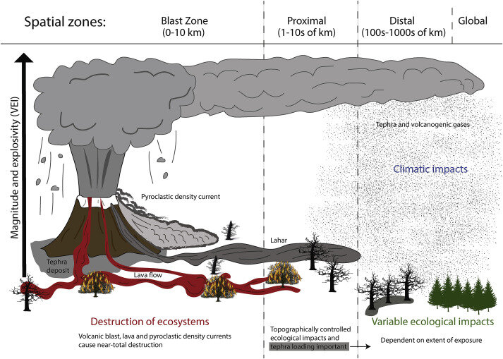  A diagram of the impacts of a volcanic eruption, courtesy of VICS.  