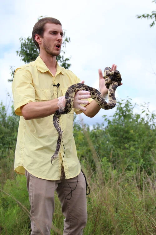 Hudson's Project Pine Snake Encounters Recent Milestone