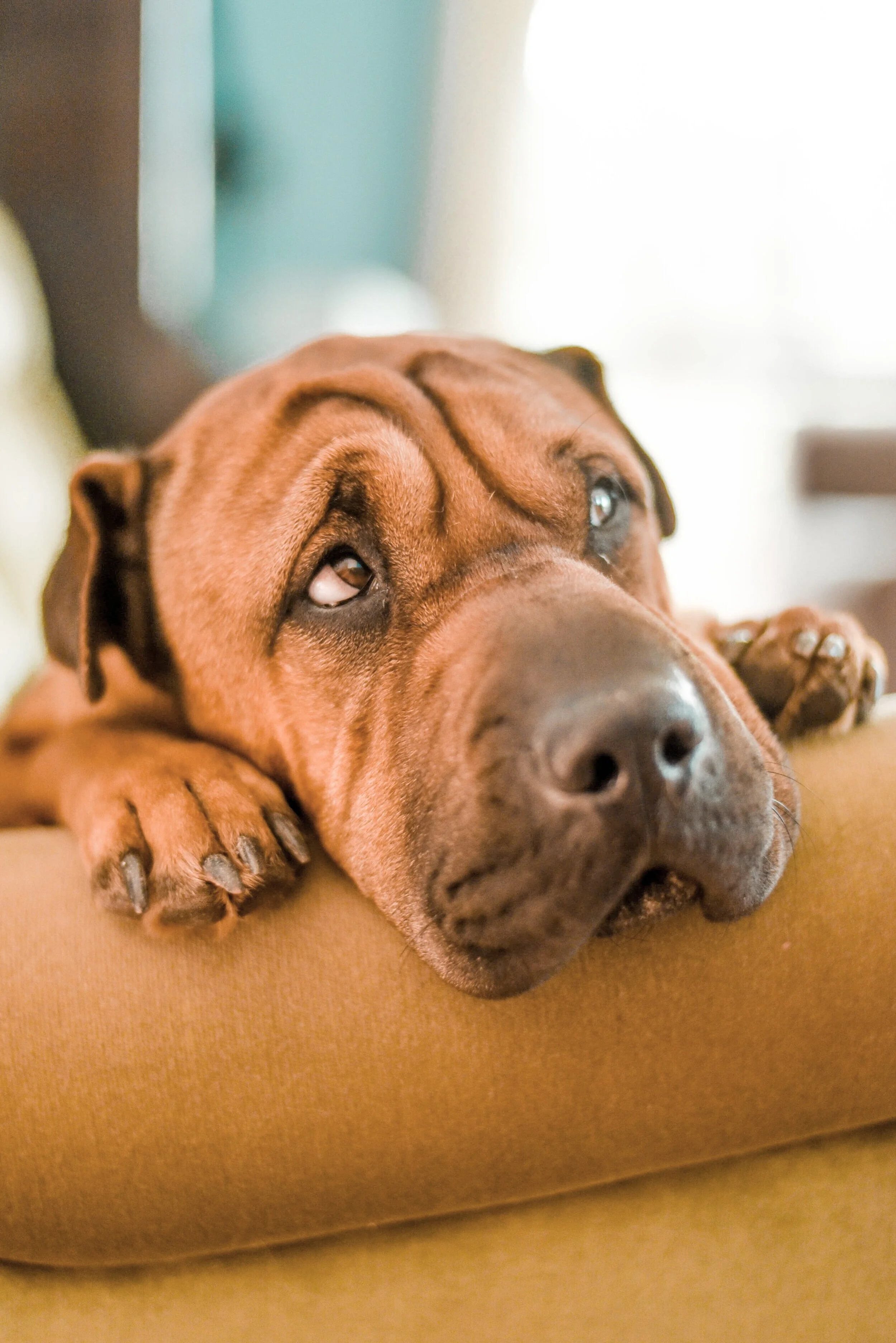 sophie-elvis-xJQA_-9lwtM-unsplash.jpg