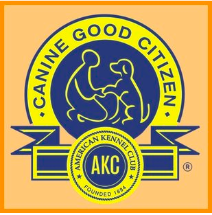 February 11th CGC TEST @ 6:30PM