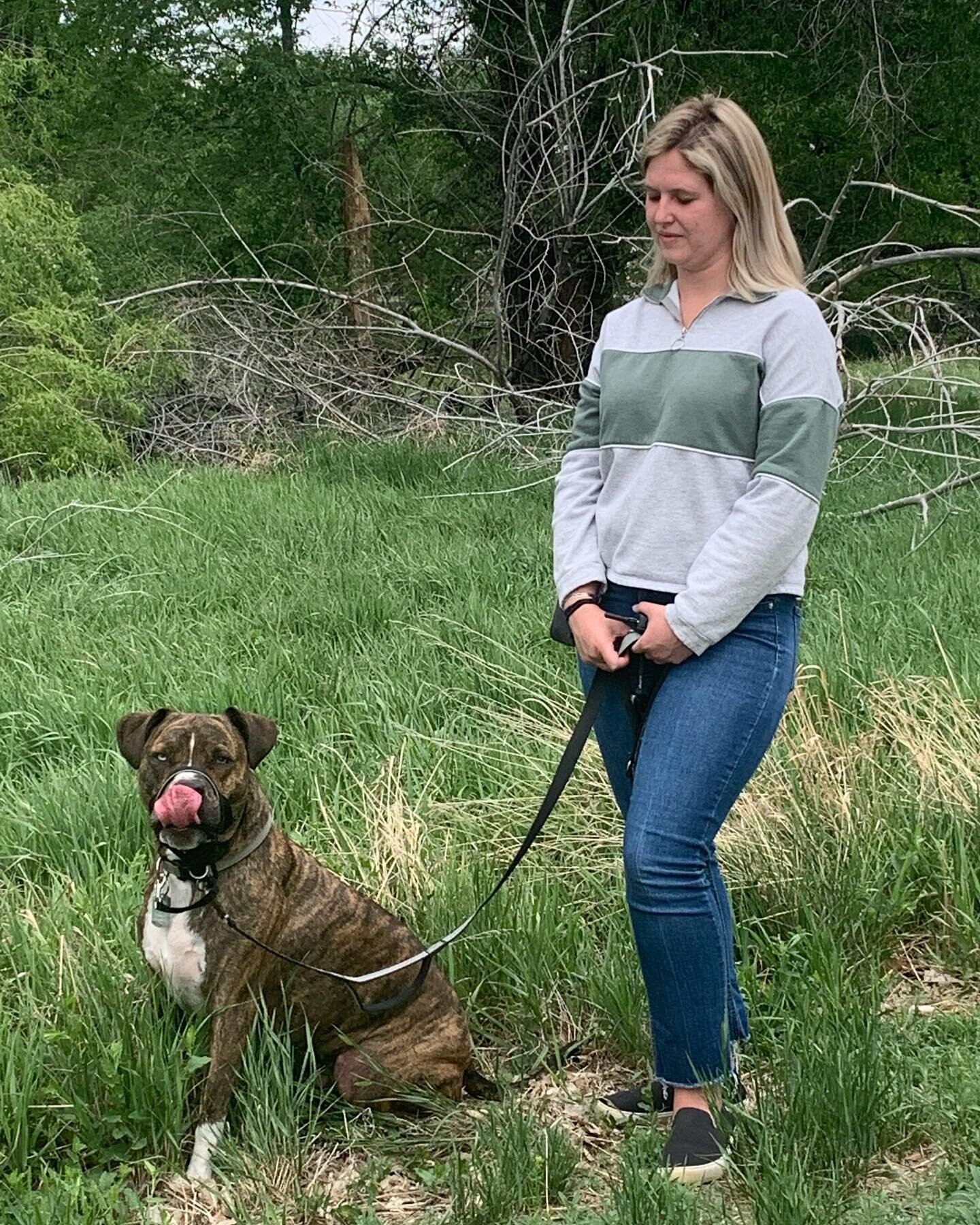 So proud of this team. 😍 Megan and Ollie have worked hard, consistently and confidently, to help Ollie with his enthusiasm for life, other dogs and people. Megan is always willing to practice and support this good boy and we remain committed to supp