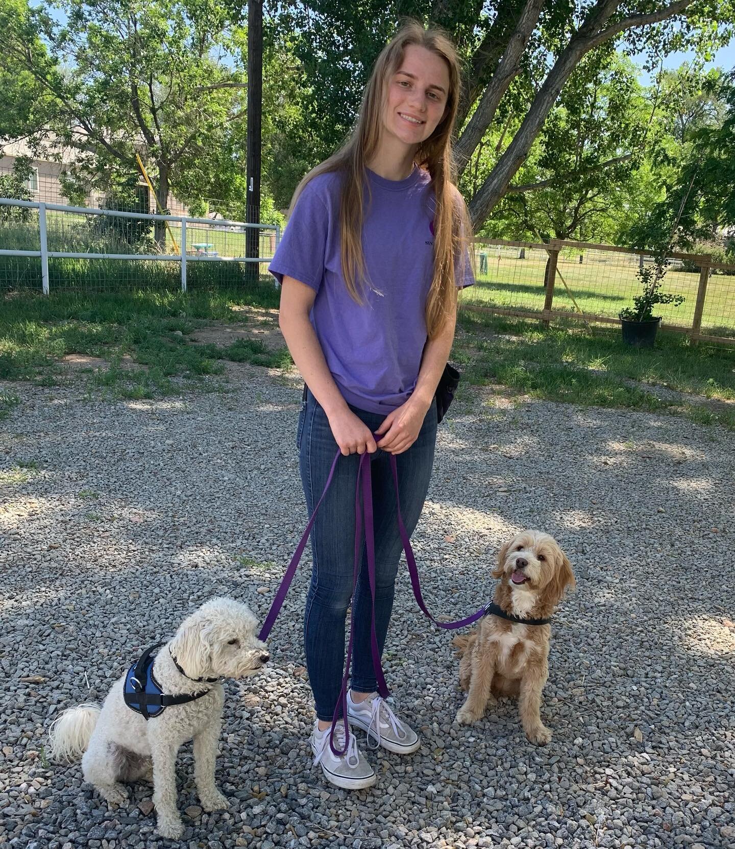 Fortunate to have this great assistant trainer helping us take even better care of the dogs and people. Thank you, Lauren! 🌼