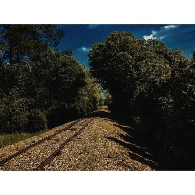 . #photography #nature #naturephotography #streetphotography #naturelovers #landscapephotography #naturelover #naturegram #countrylife #nature_brilliance #naturephoto #countrygirl #phonephotography #photographylife #photography📷 #railroad #countryli