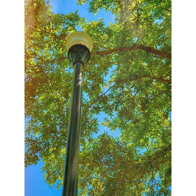 Relax
.
.
.
.
.
.
.
.

#nature #naturelovers #naturegeography #naturepic #natureshot #naturerepublic #naturephoto #naturewalk #park #parkday #parktime #photography #photographylover #photography📷 #photographyaddict #photographyeveryday #naturephotog