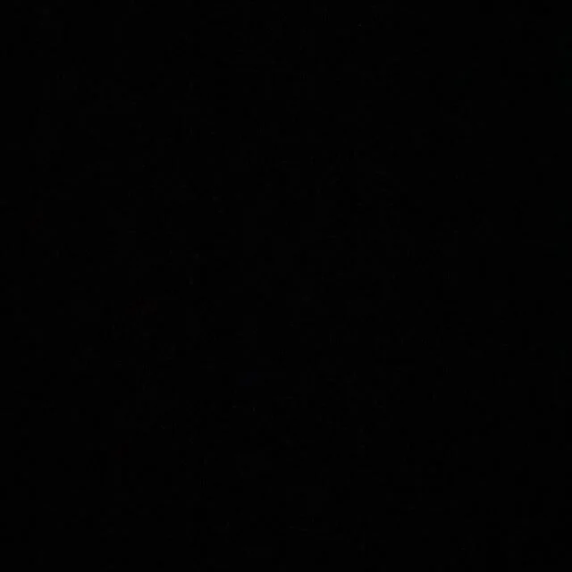 #blackoutday2020