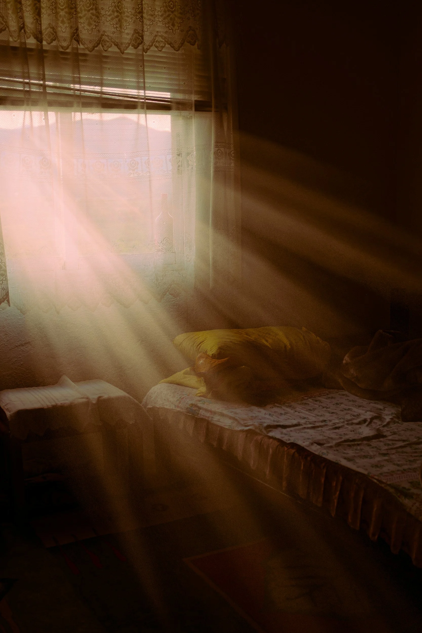 New Day