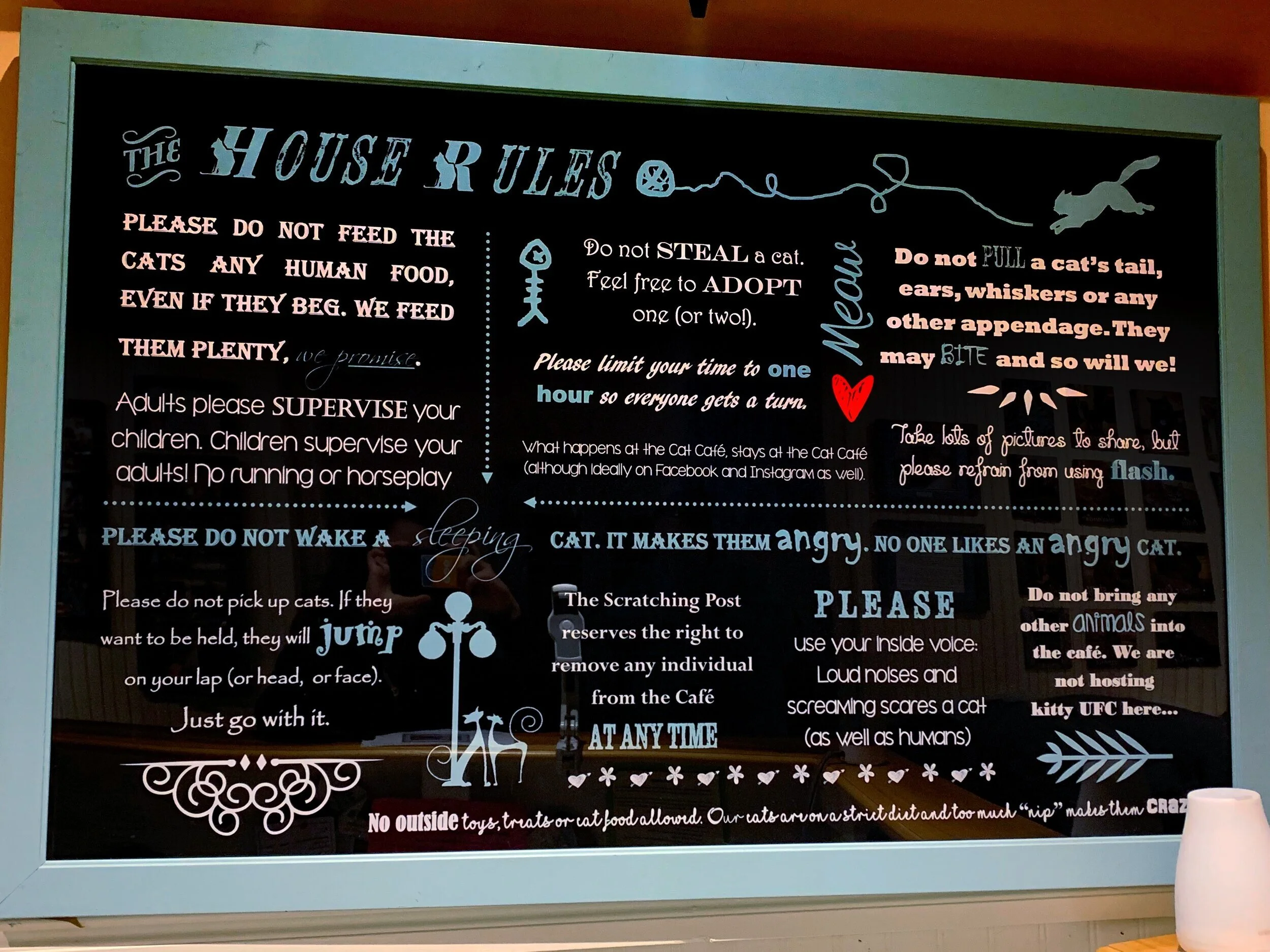 cherished cats rescue alliance