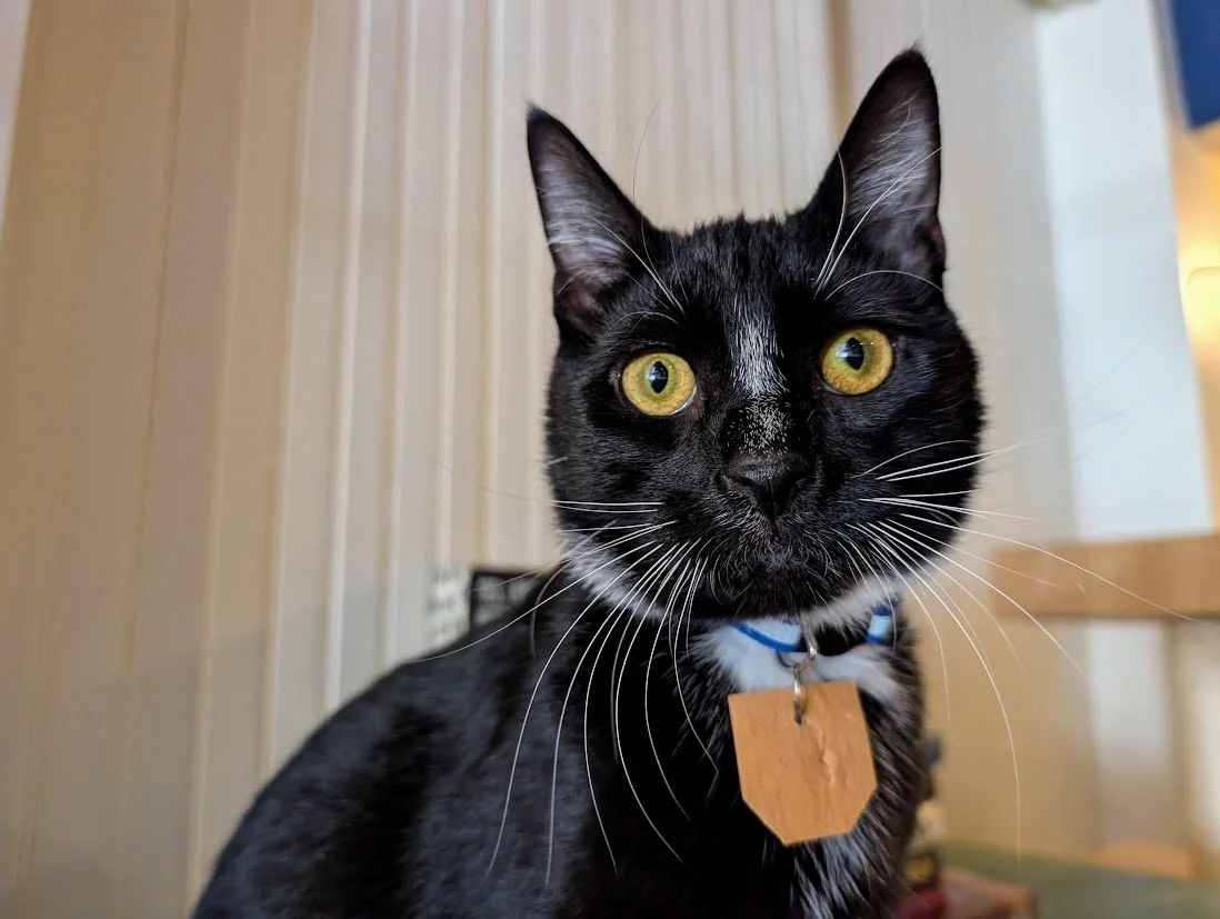 cooper8.jpg