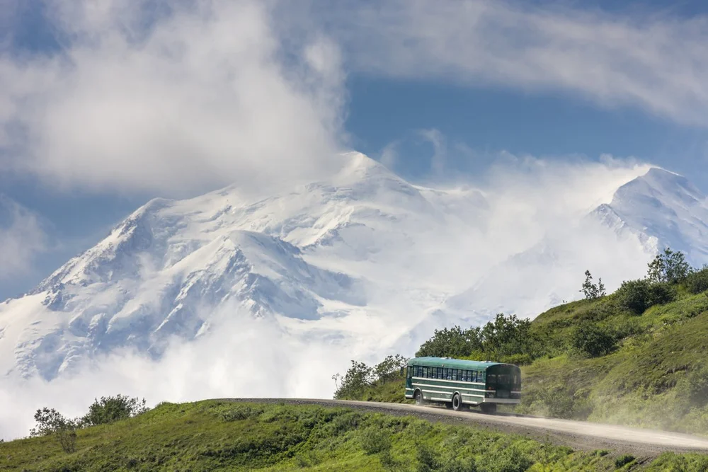 Denali visual data 3
