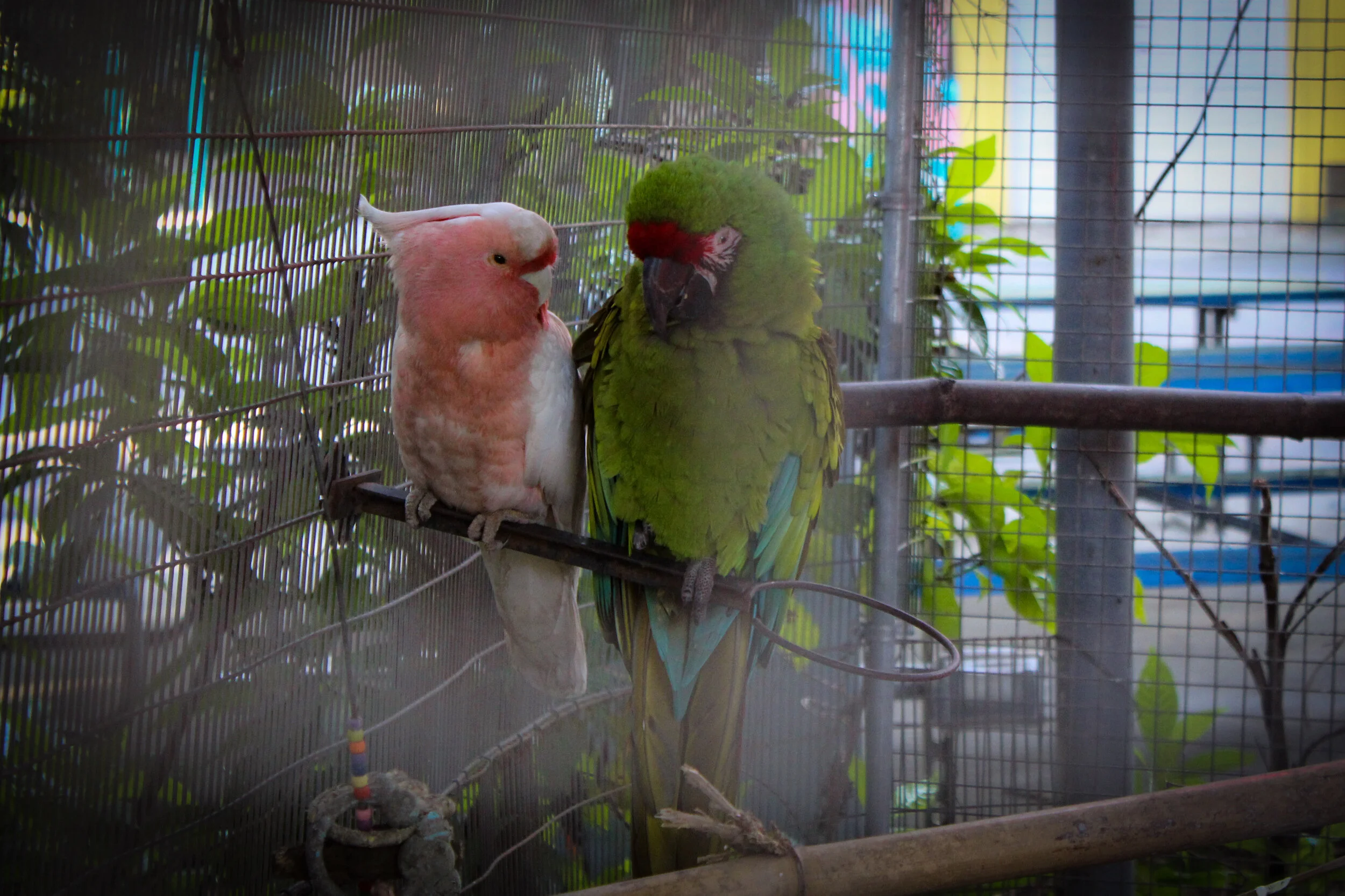 11-IMG_0666.jpg