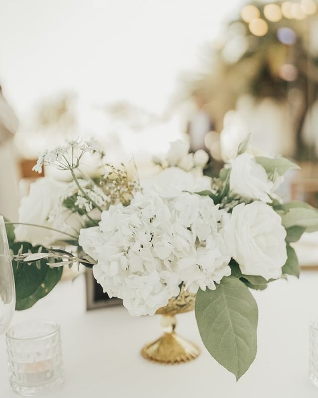 You can never go wrong with a simple and classic centerpiece 👌🏼⠀⠀⠀⠀⠀⠀⠀⠀⠀
.⠀⠀⠀⠀⠀⠀⠀⠀⠀
.⠀⠀⠀⠀⠀⠀⠀⠀⠀
.⠀⠀⠀⠀⠀⠀⠀⠀⠀
.⠀⠀⠀⠀⠀⠀⠀⠀⠀
#onlyoneevents #adamsonhouse #adamsonhousemalibu #adamsonhouseweddings #weddingflowers #centerpiece #weddingdetails #socalbrideblog