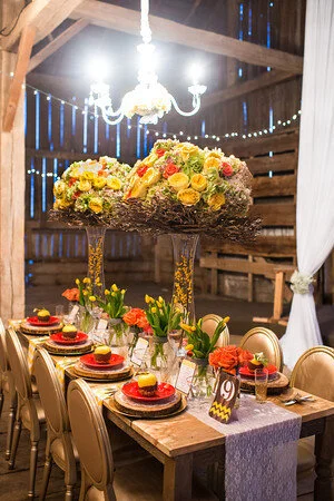 d928784f150ee68f004f.jpg