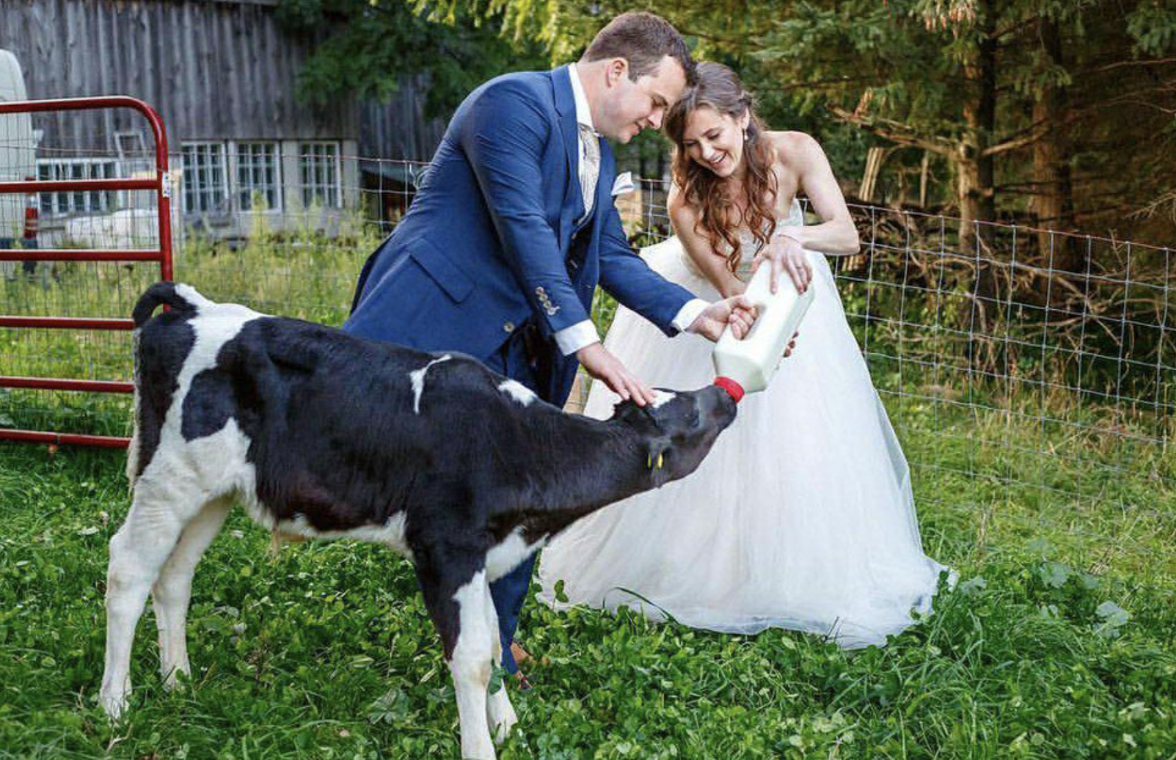 Screenshot 2026-04-06 at 11.15.10 PM.png