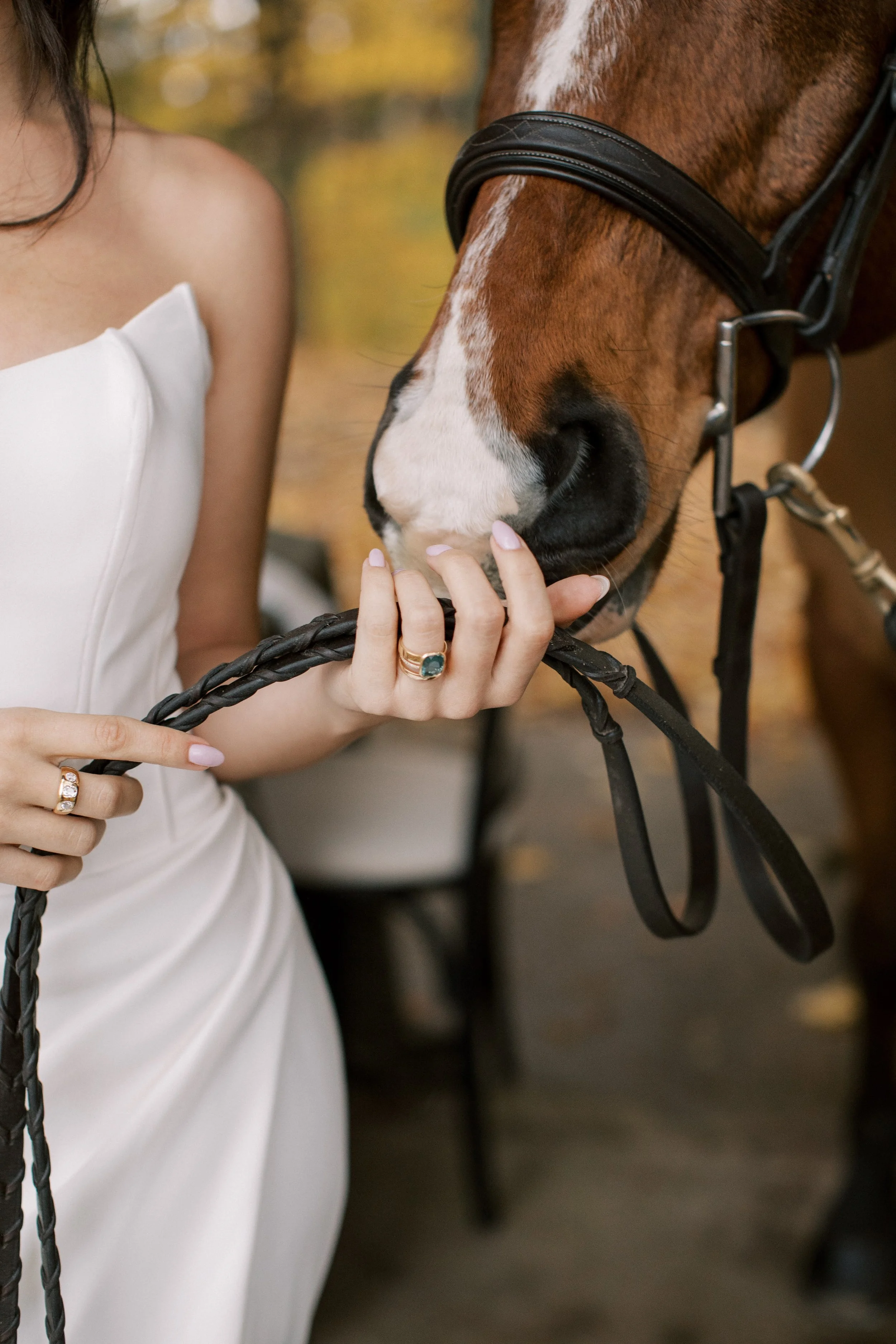 Canadian Bride Guide Equestrian Wedding by Madison McMahon 