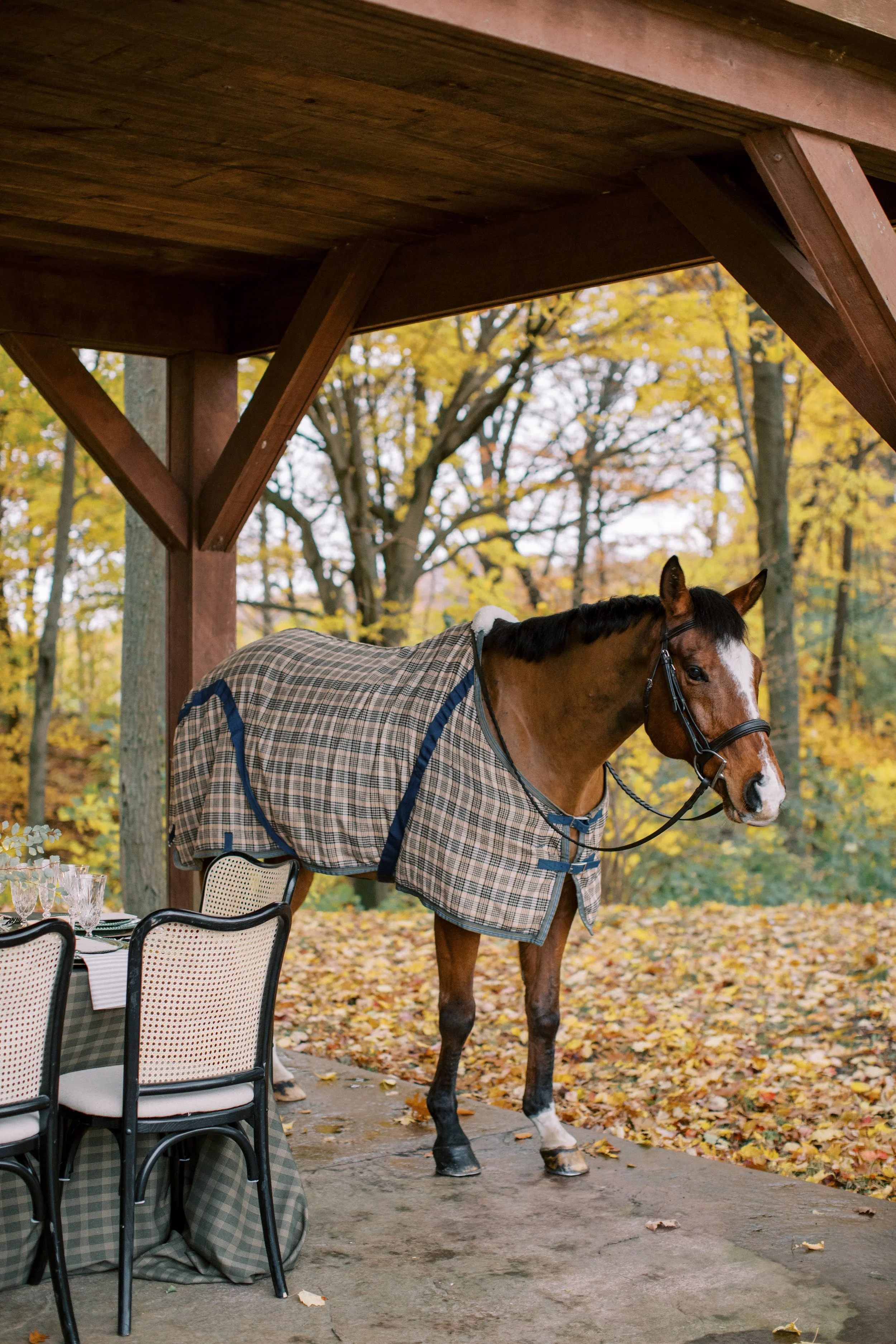 Canadian Bride Guide Equestrian Wedding by Madison McMahon 