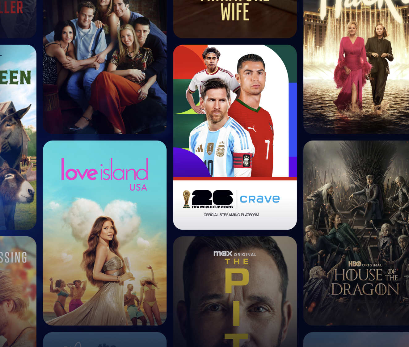 tv subscription for wedding gift