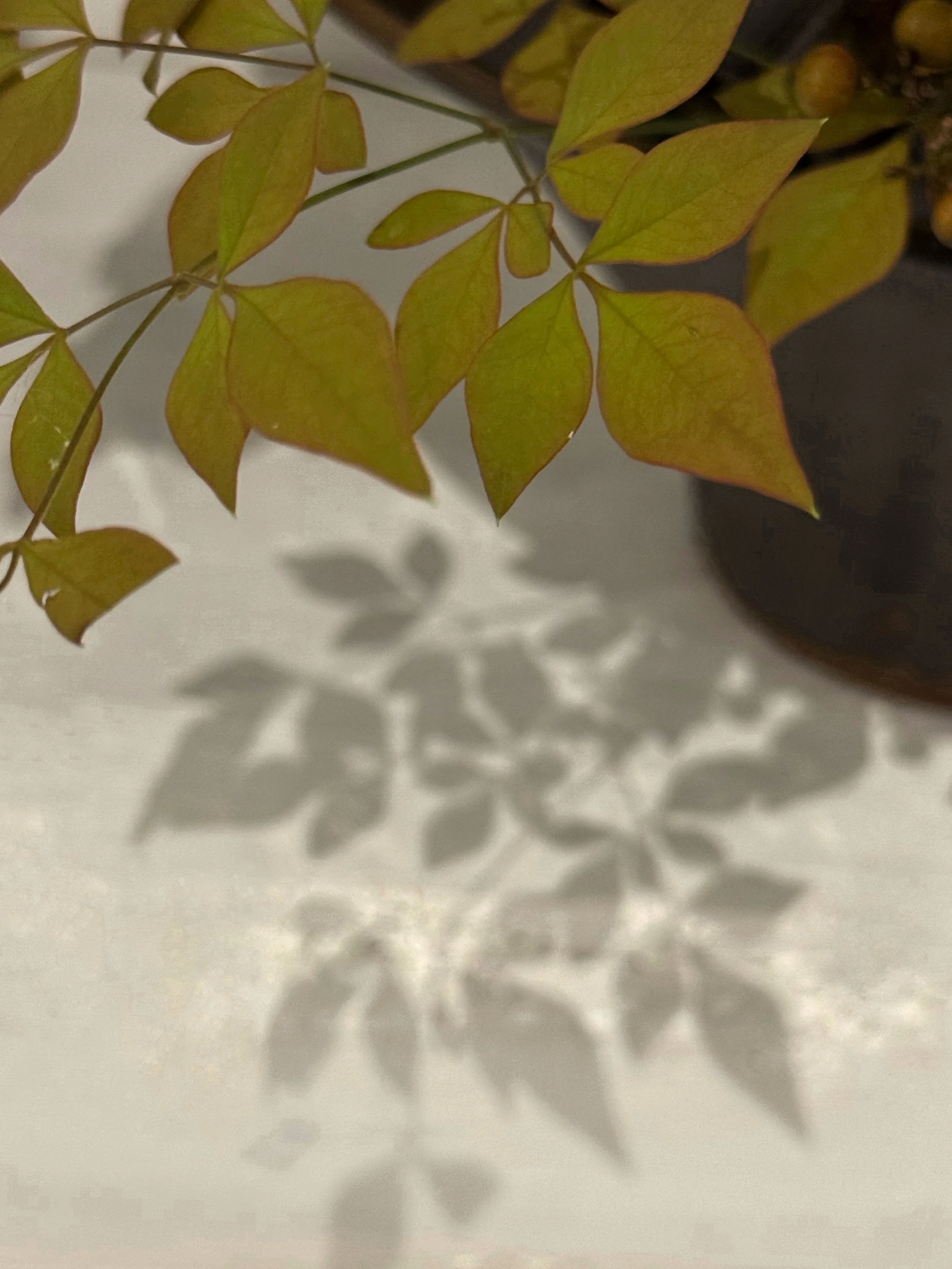 trying something new