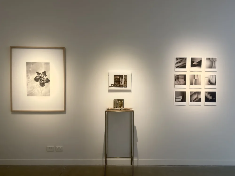 work by artists from left to right - Kim Marston, Grace Cross, Amanda Gardner