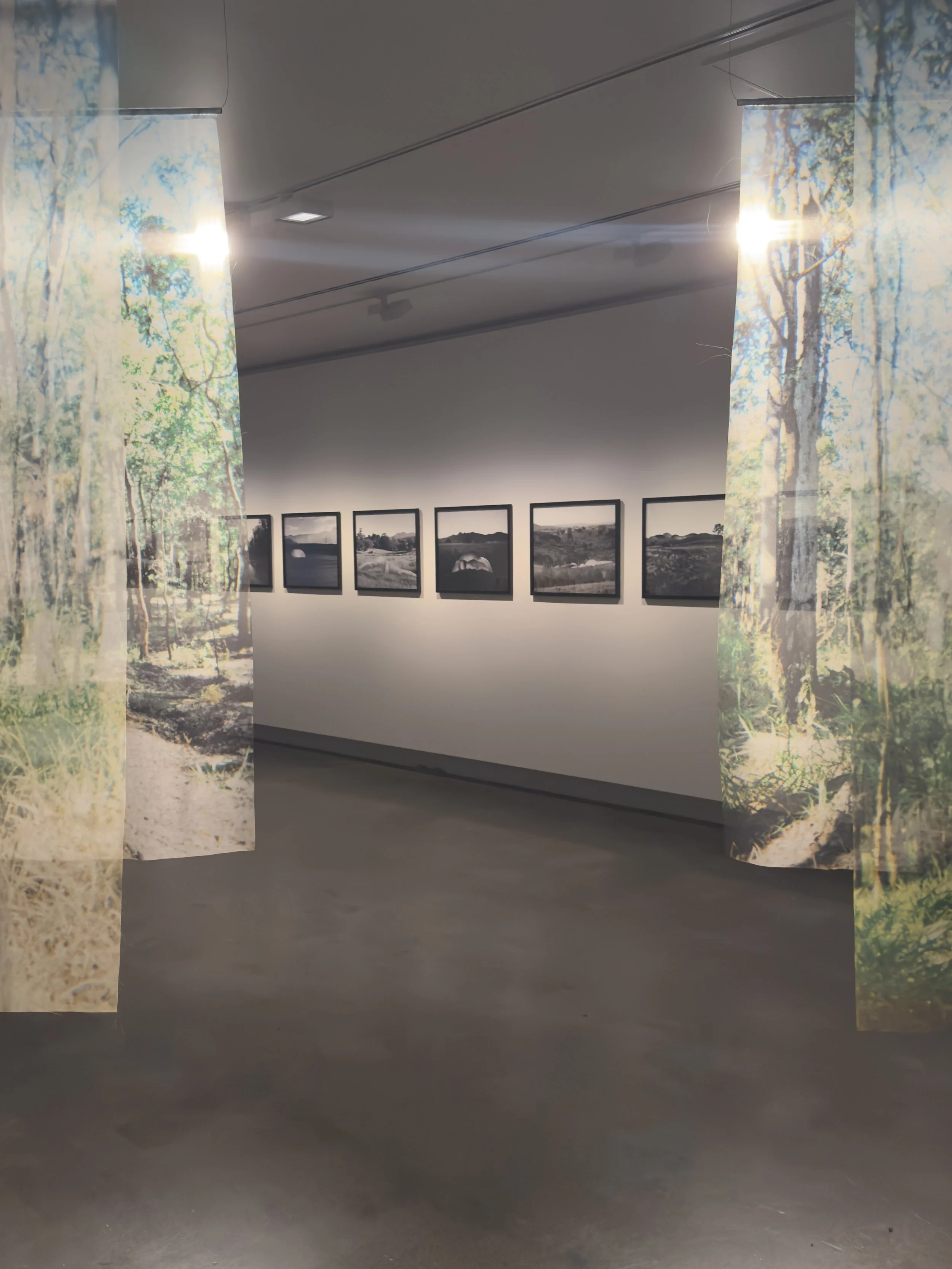 Fresh Eyes  has opened!