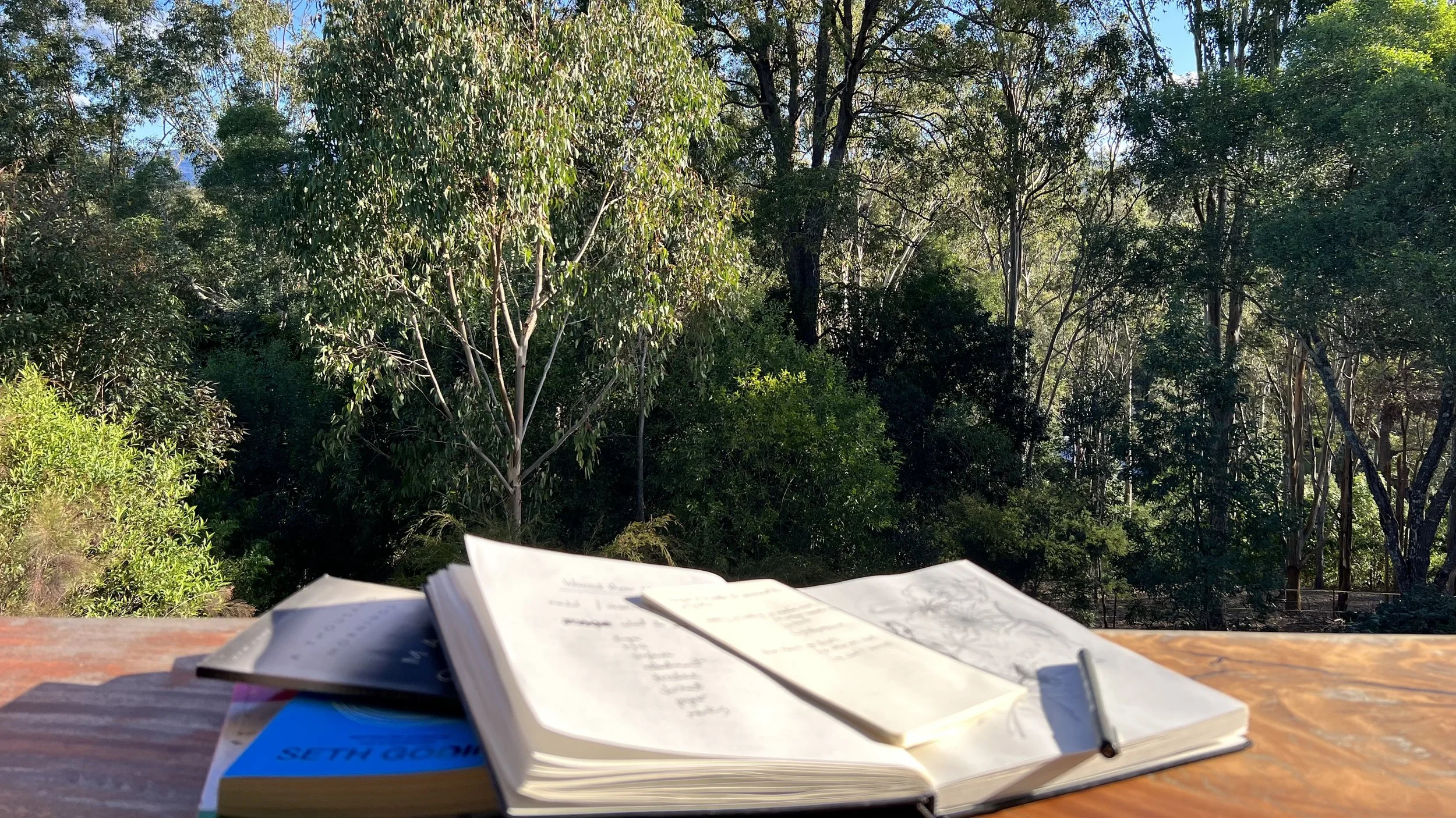 thoughts on writing…