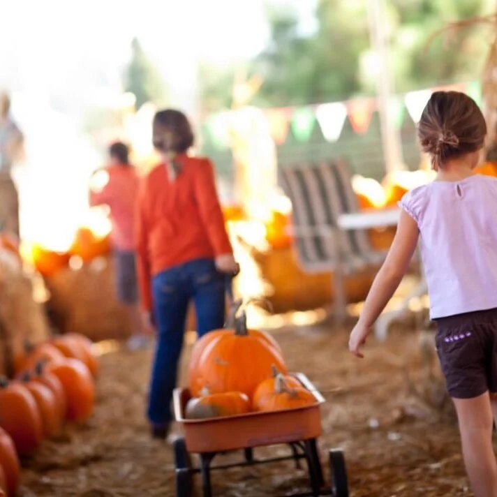 EXPERT TIPS FOR A CLICHÉ-FREE OUTDOOR EVENT THIS FALL