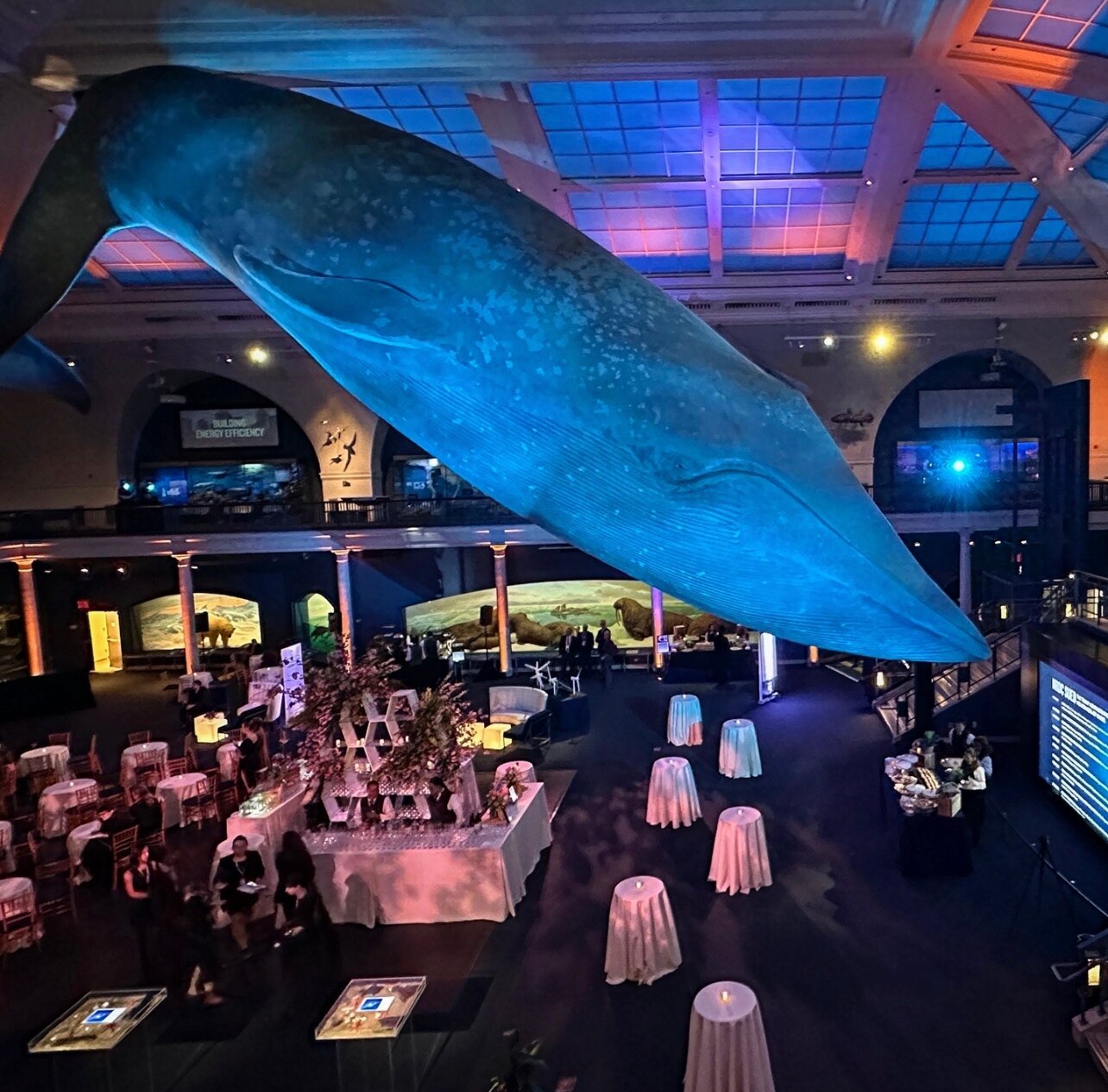 Gala fundraisers are a great way to contribute to a larger cause and we know how to make them unforgettable. Contact us today to get started!⁠
.⁠
.⁠
.⁠
.⁠
#museumofnaturalhistory #museum #museumevents #gala #fundraiser #nyc #brandactivation #entertai