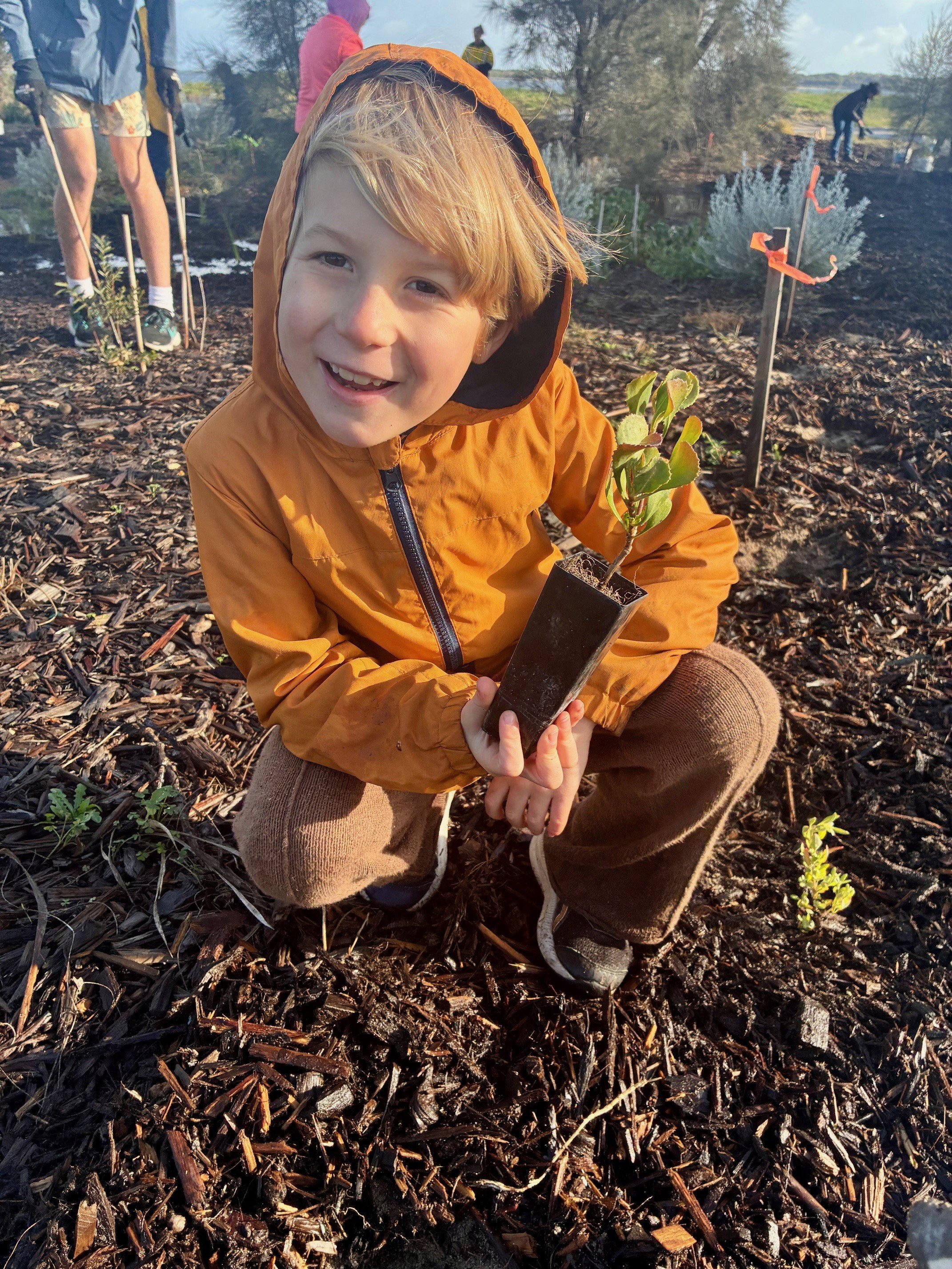 frank howe pelican point planting.jpg