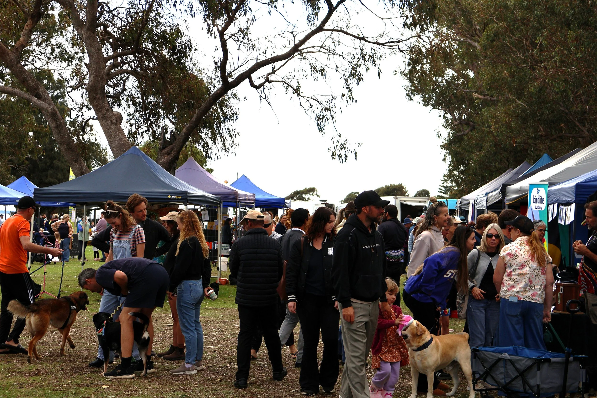 Crowd19.JPG